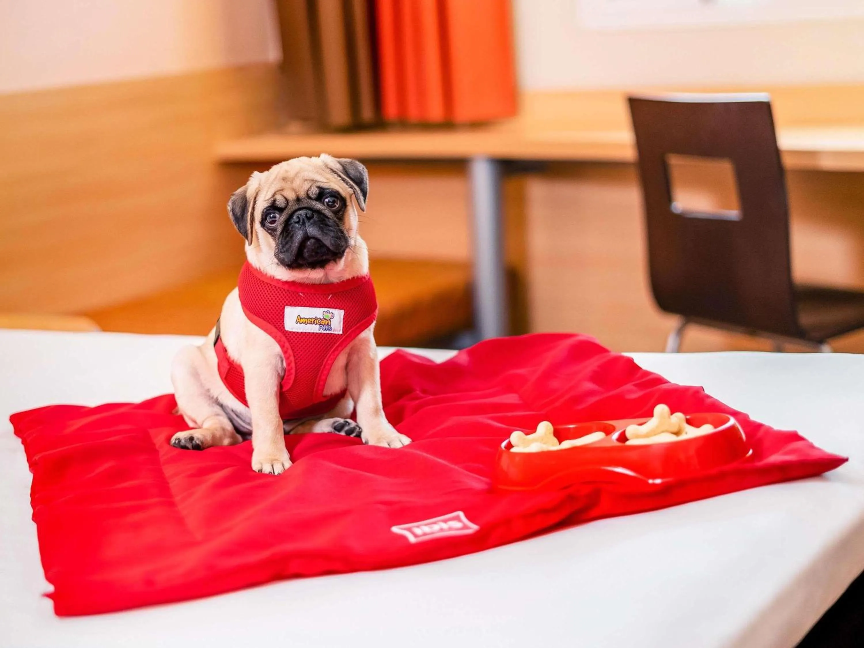 Other in ibis Copacabana Posto 2