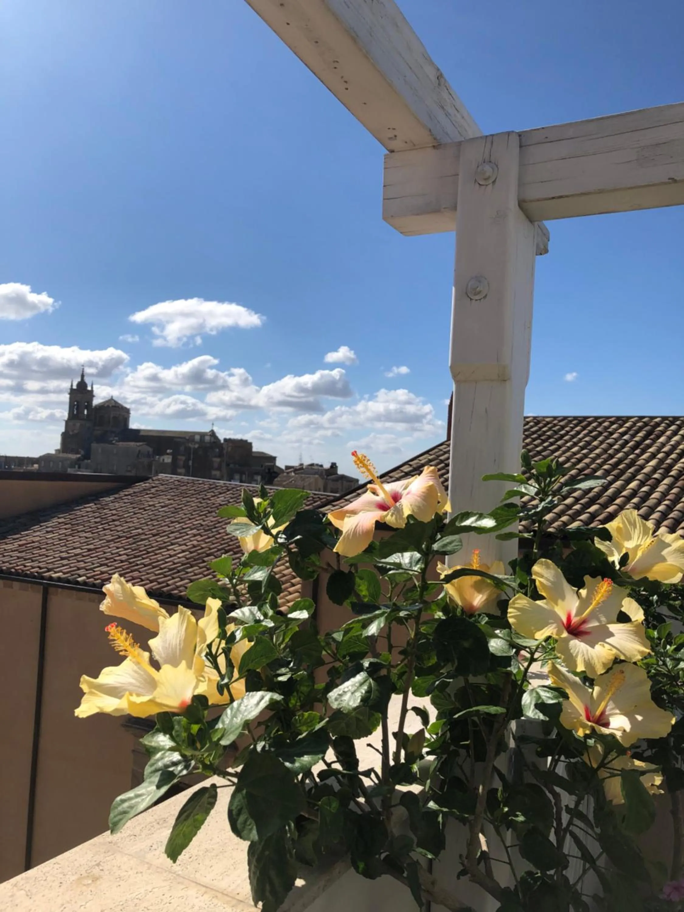 Balcony/Terrace in Il Piccolo Attico