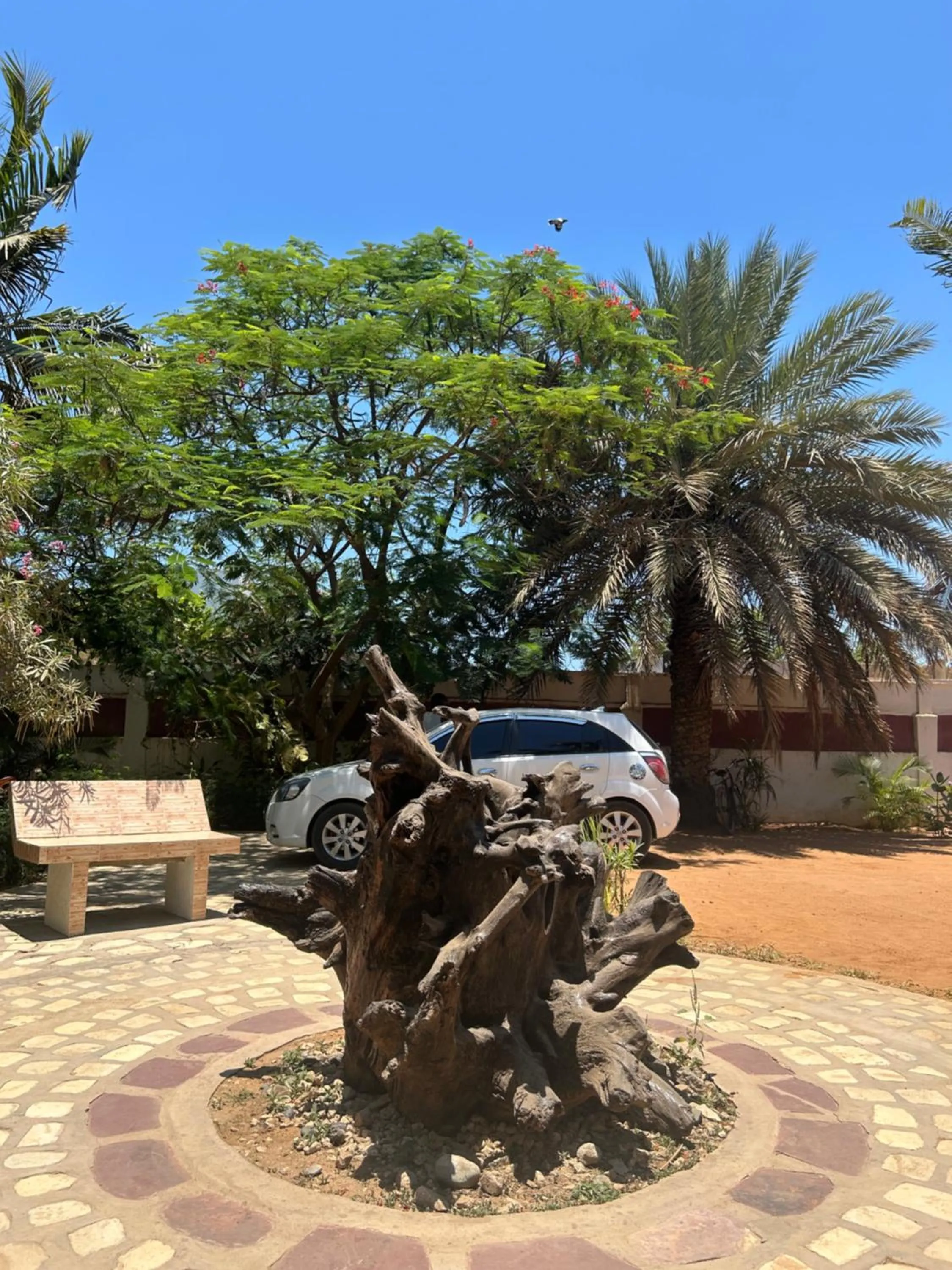 Spring in Bohobé Naboty