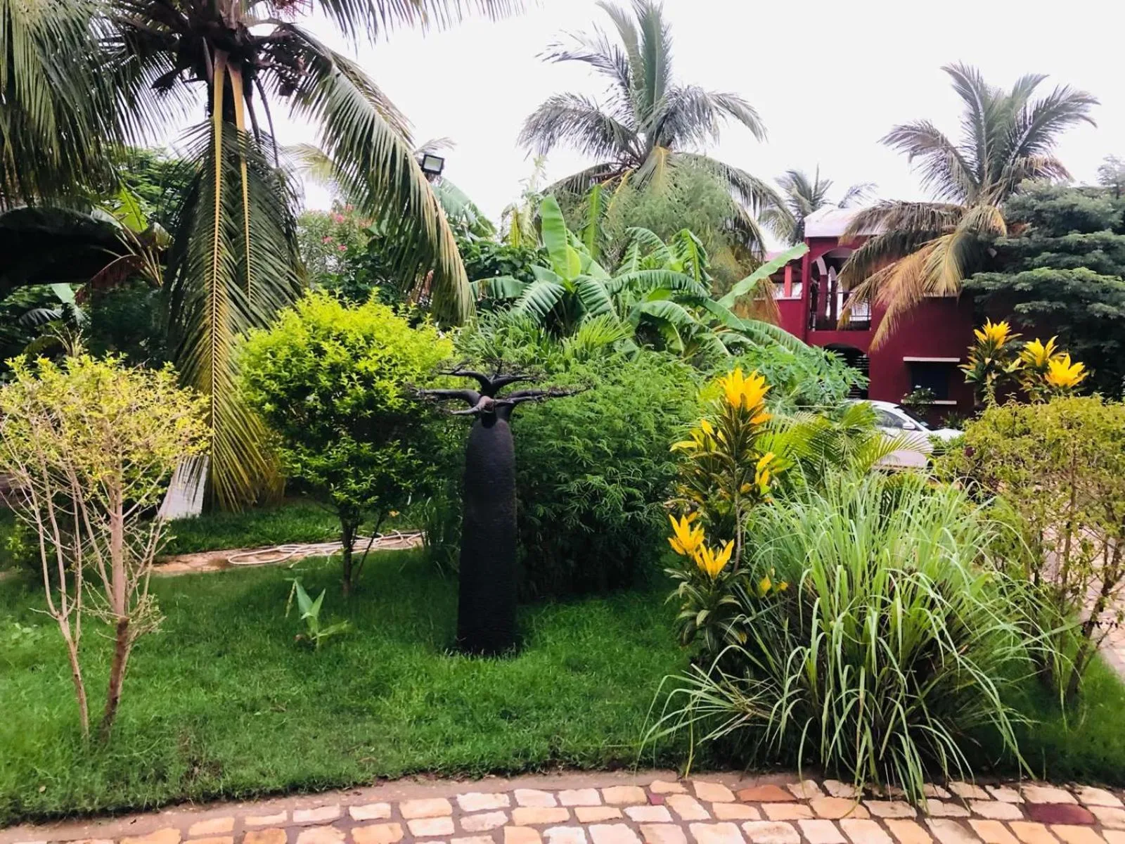 Garden in Bohobé Naboty