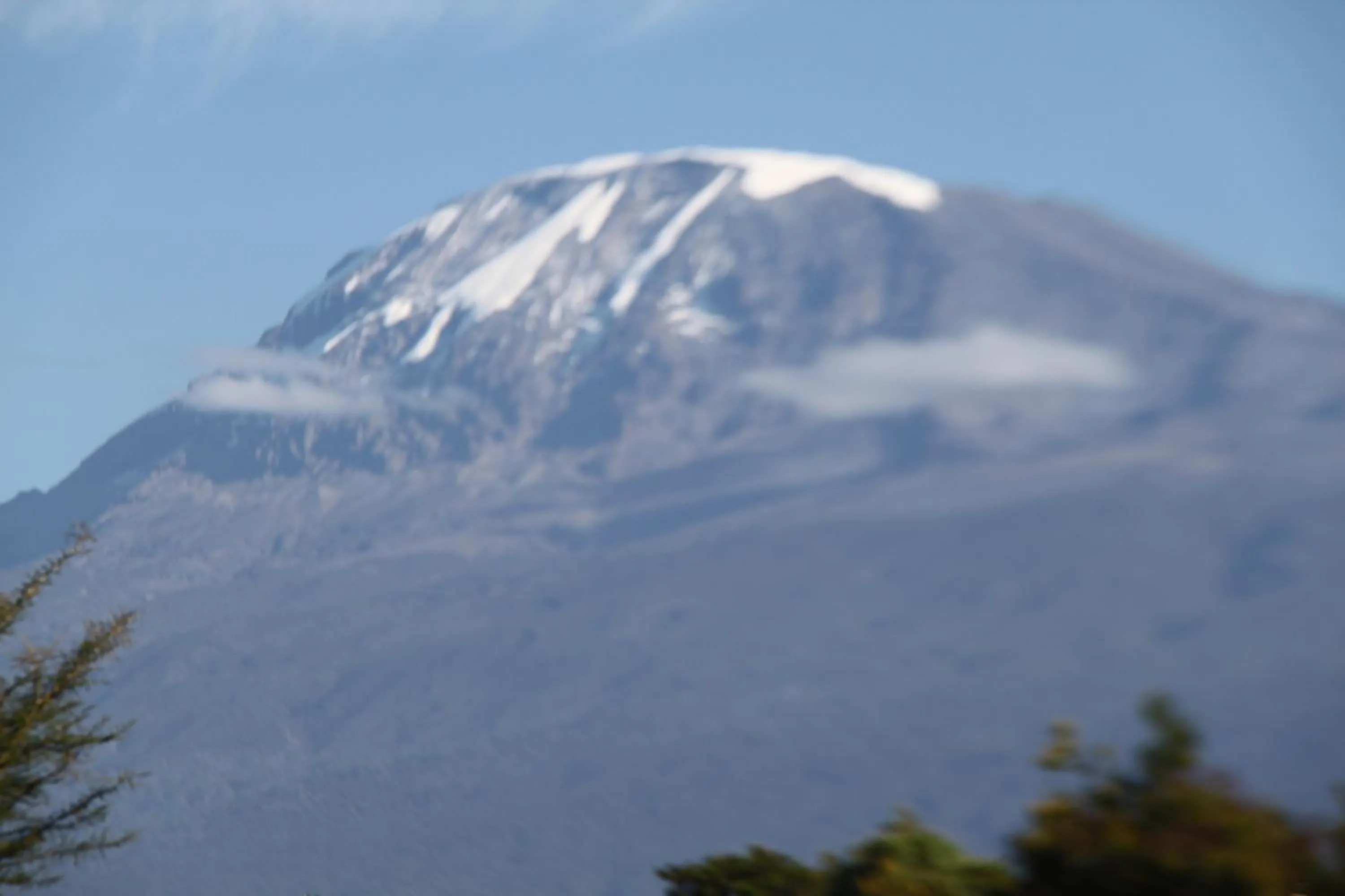 Natural landscape in East Point Hotel Moshi