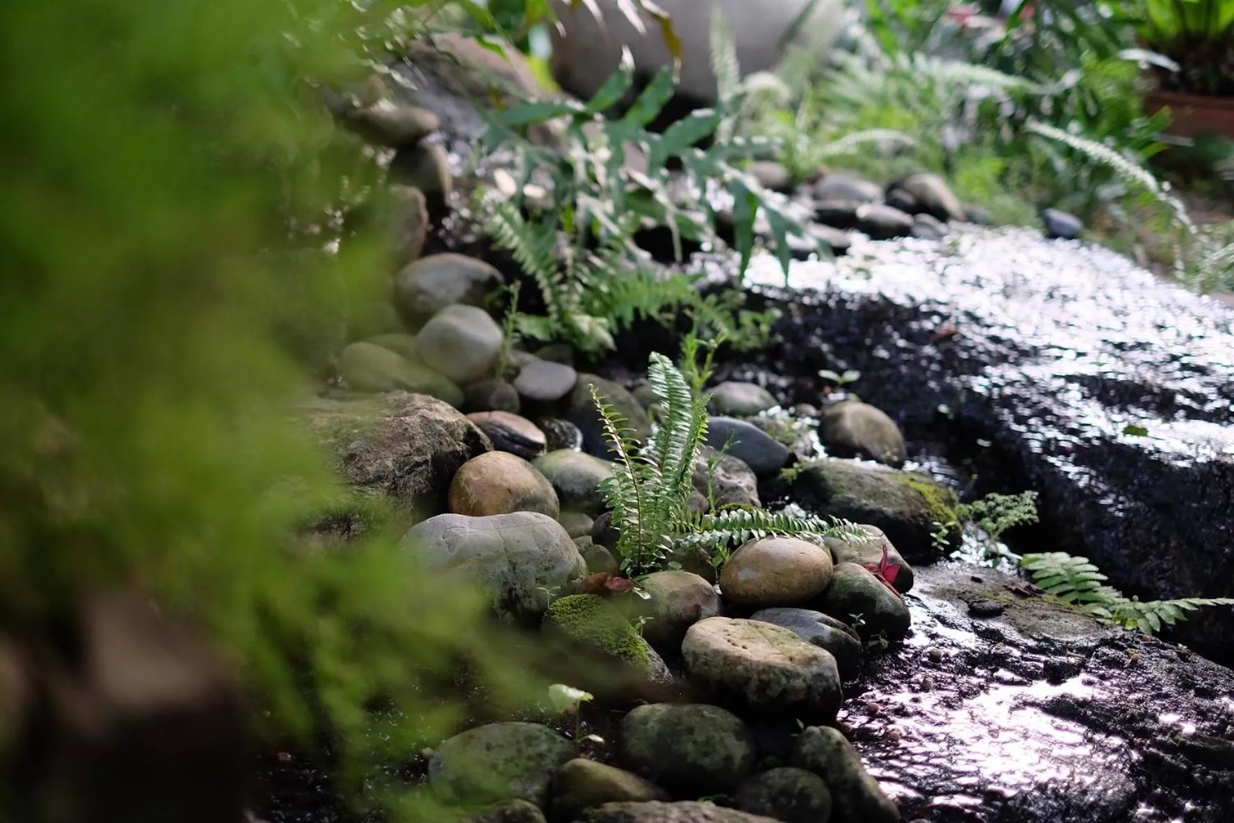 Garden in Kittawan Home&Gallery