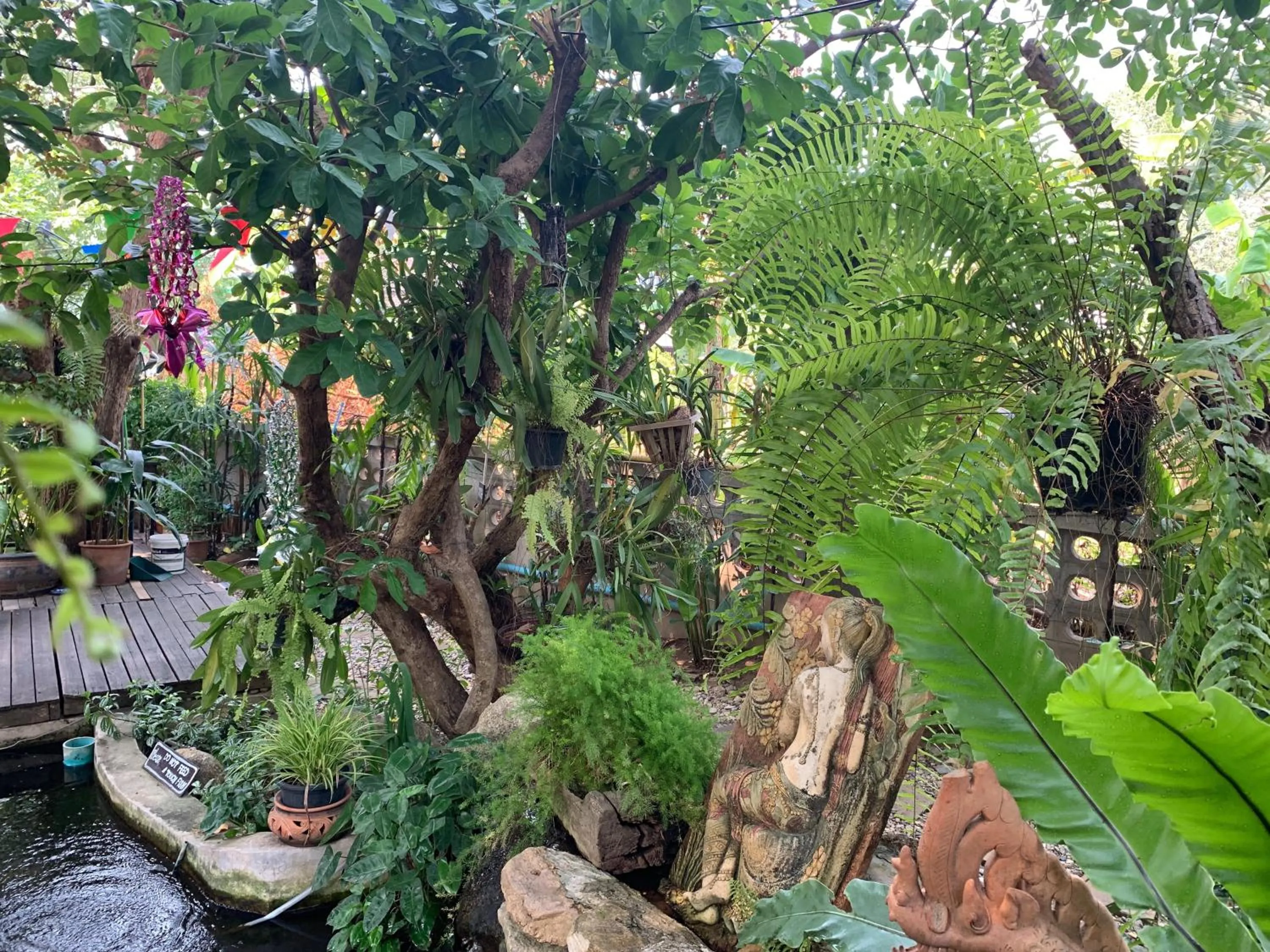 Garden in Kittawan Home&Gallery