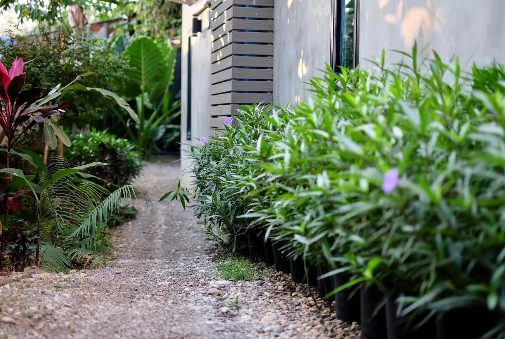 Property building in Kittawan Home&Gallery