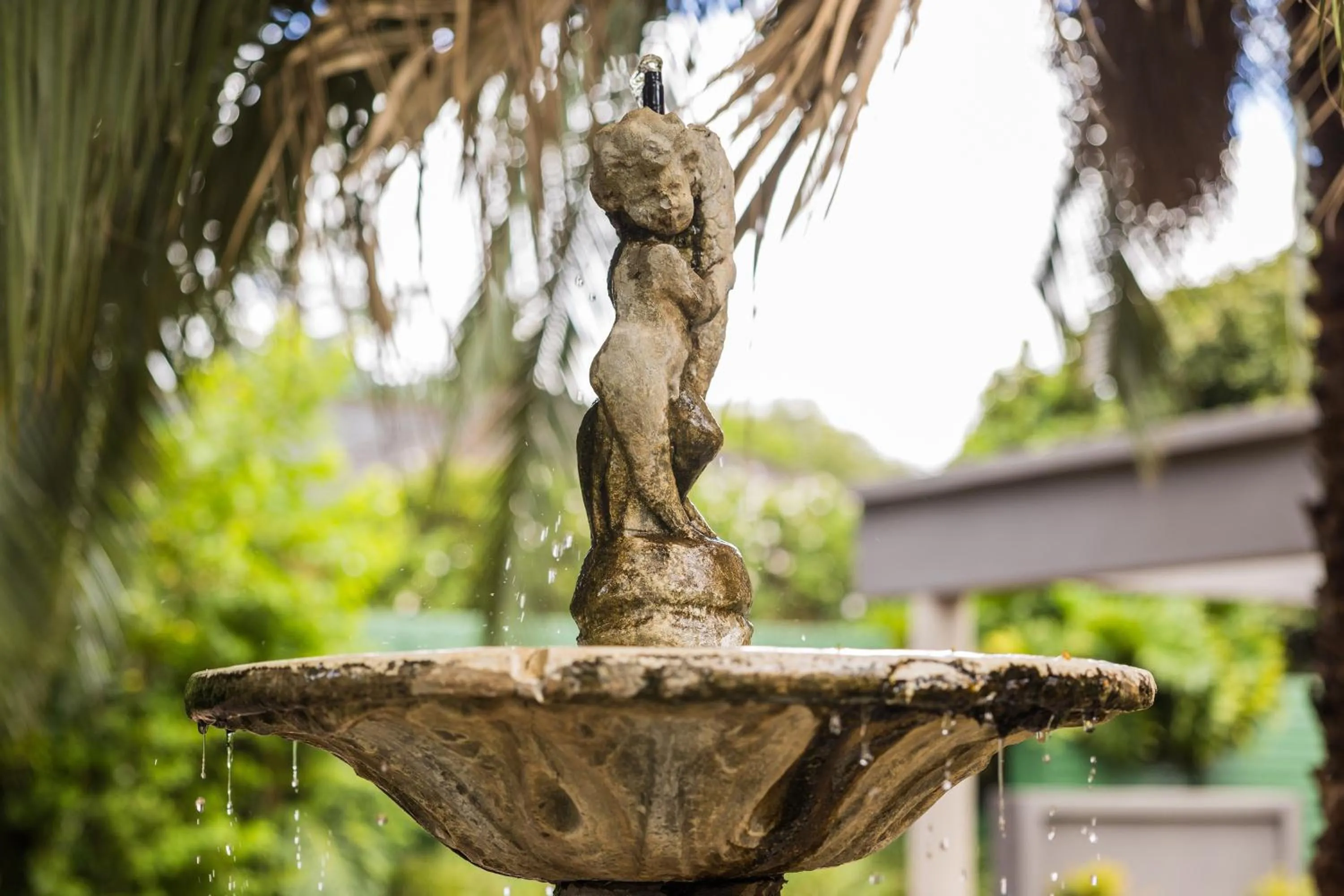 Day in Rozendal Guest House