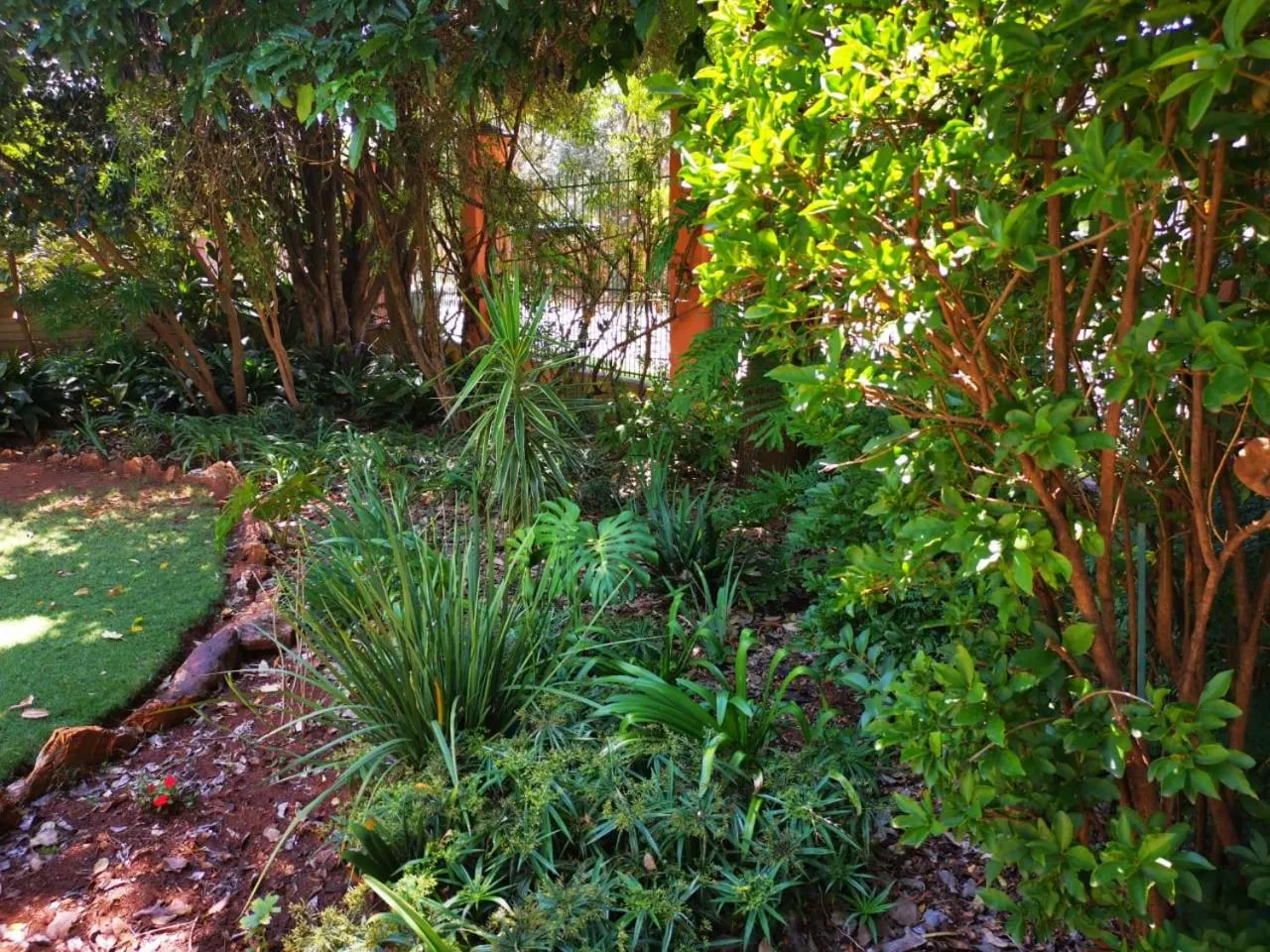 Garden in Rozendal Guest House