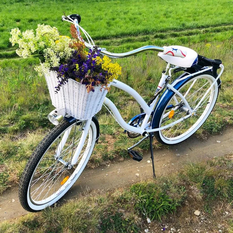 Cycling in Hotel Diana