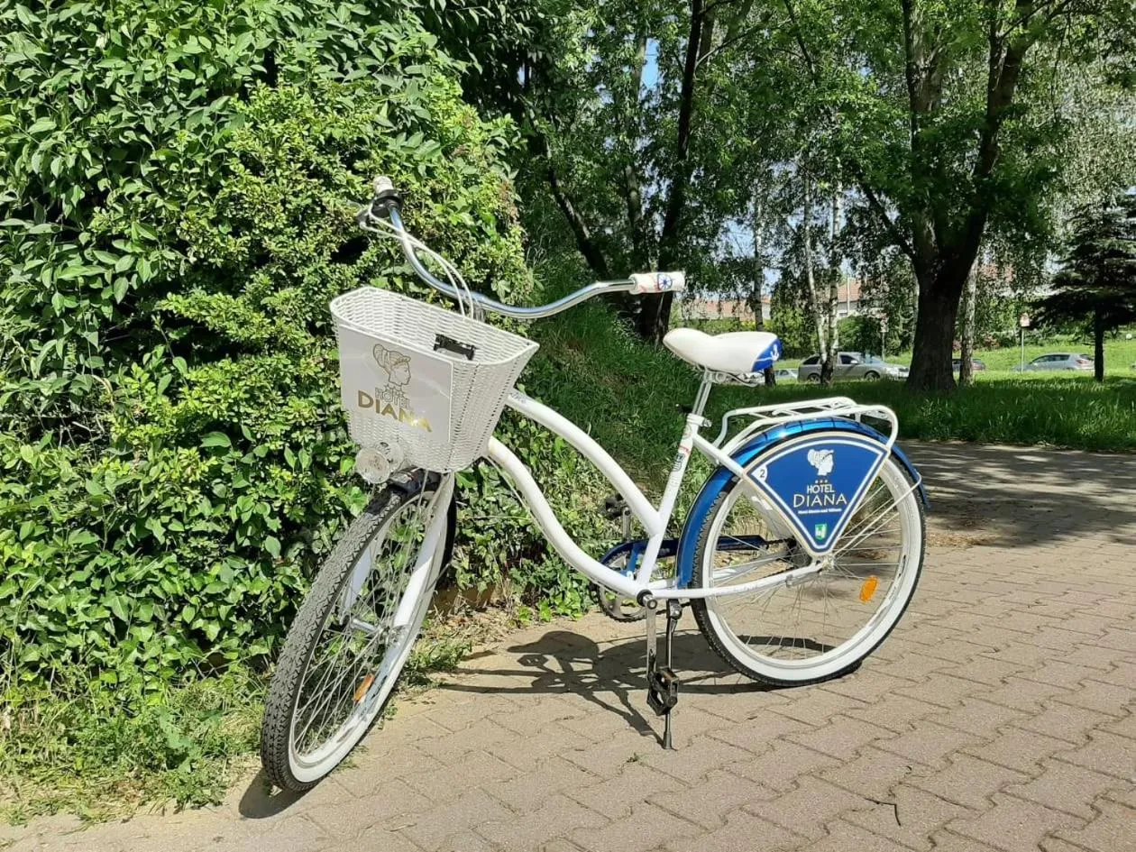 Cycling in Hotel Diana