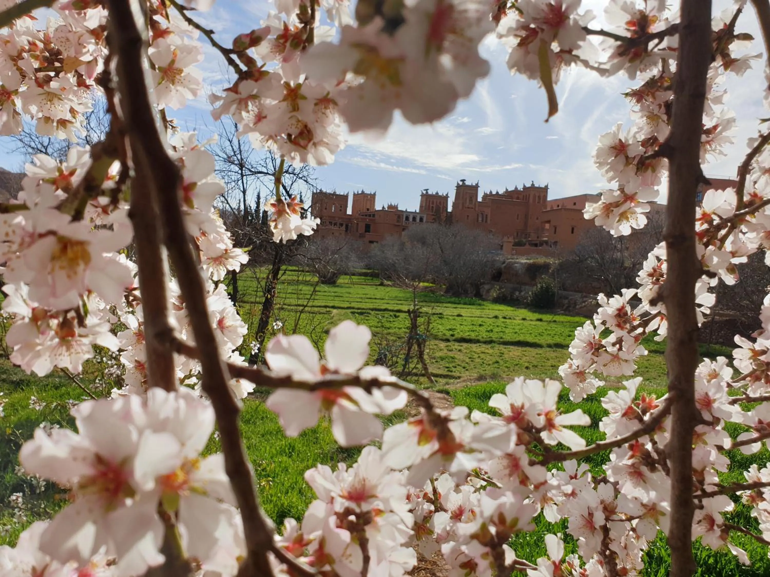 Property building in Dar Jnan Tiouira Dades