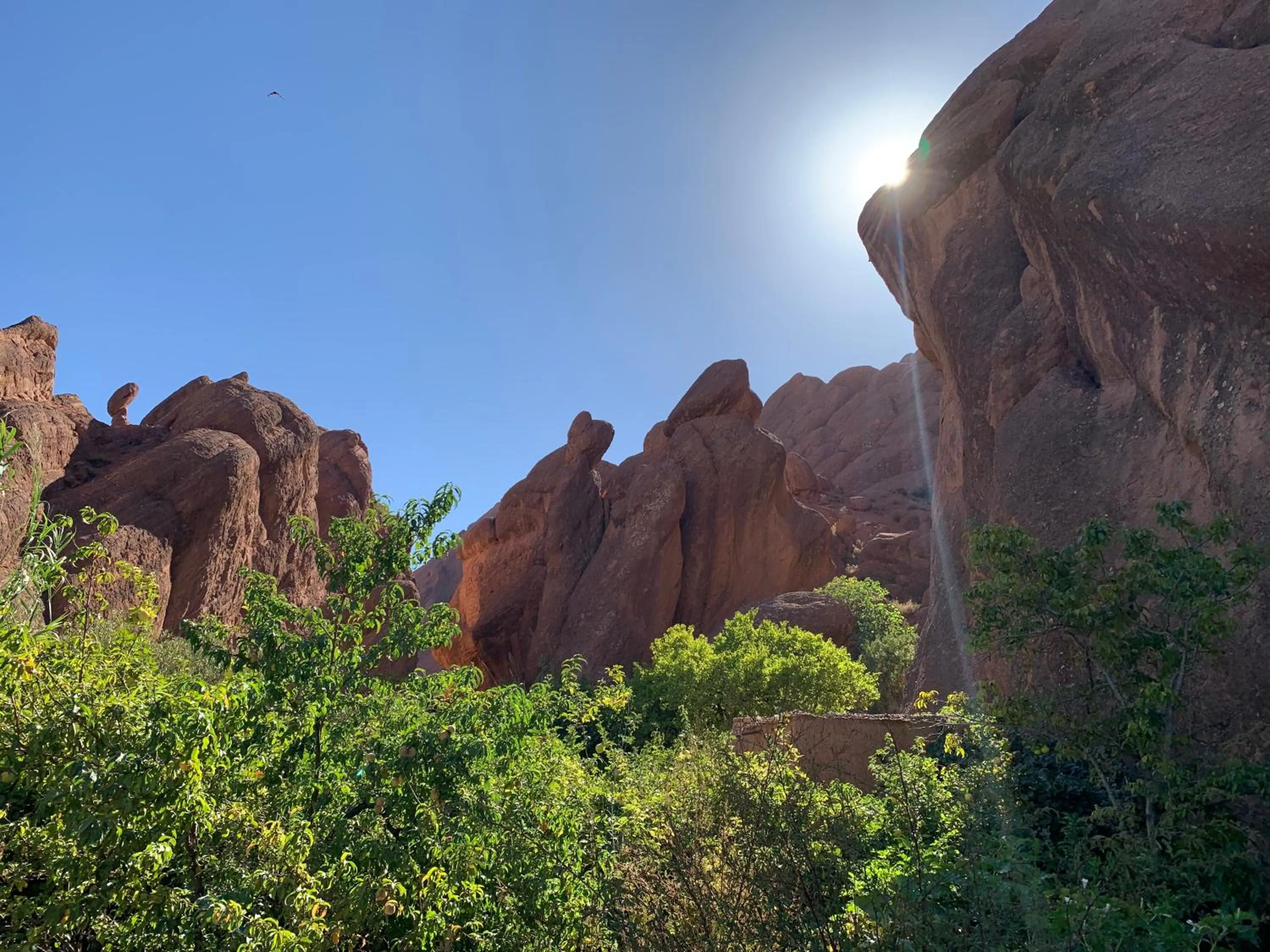 Natural landscape in Dar Jnan Tiouira Dades