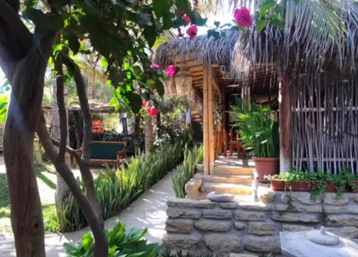 Kasa Pelikanos Kasa Pelikanos