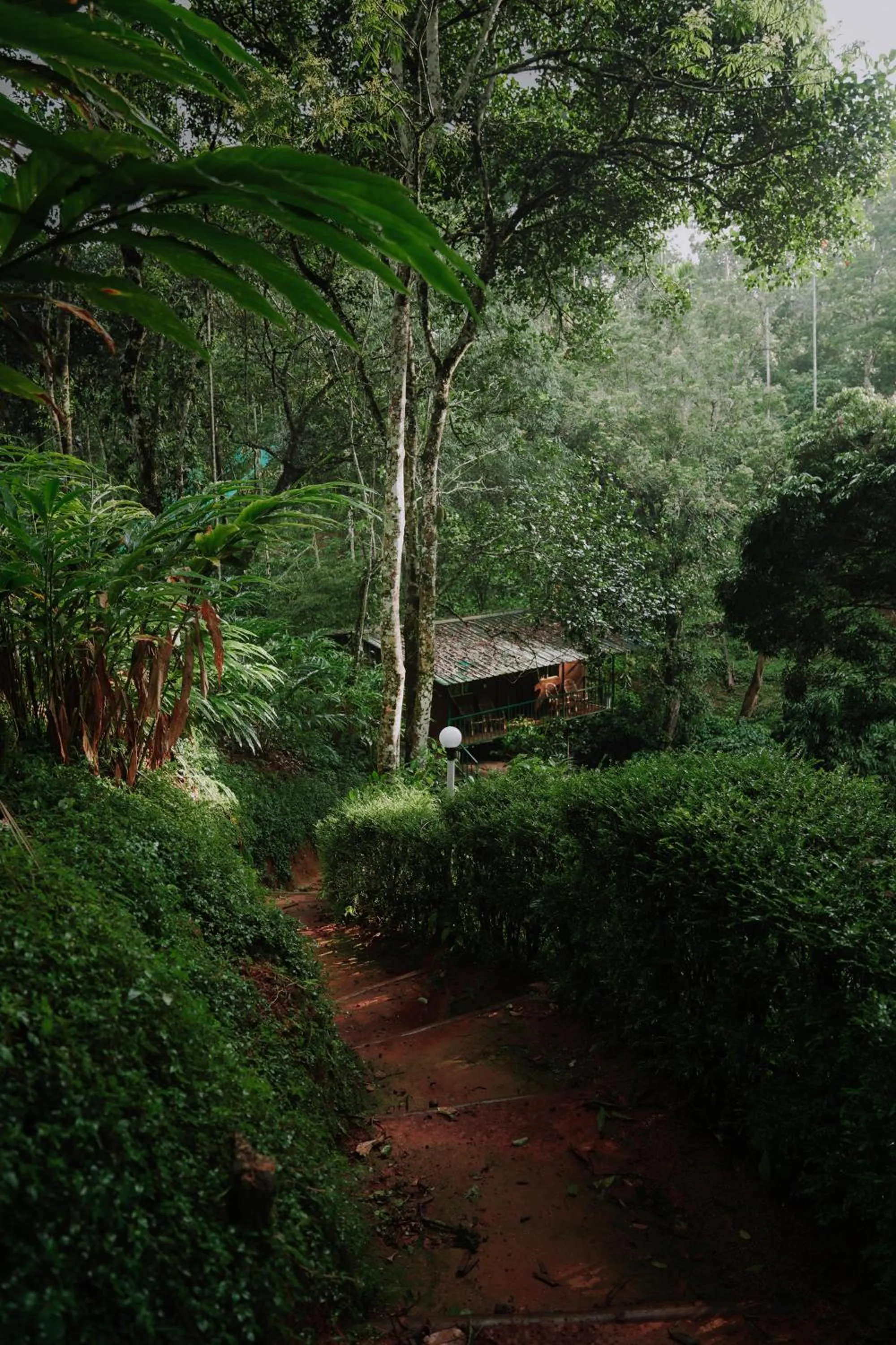 Spring in Ela Ecoland Nature Retreat