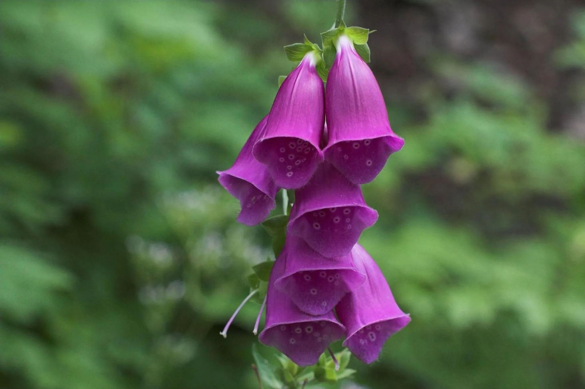 Other in Egenes Camping