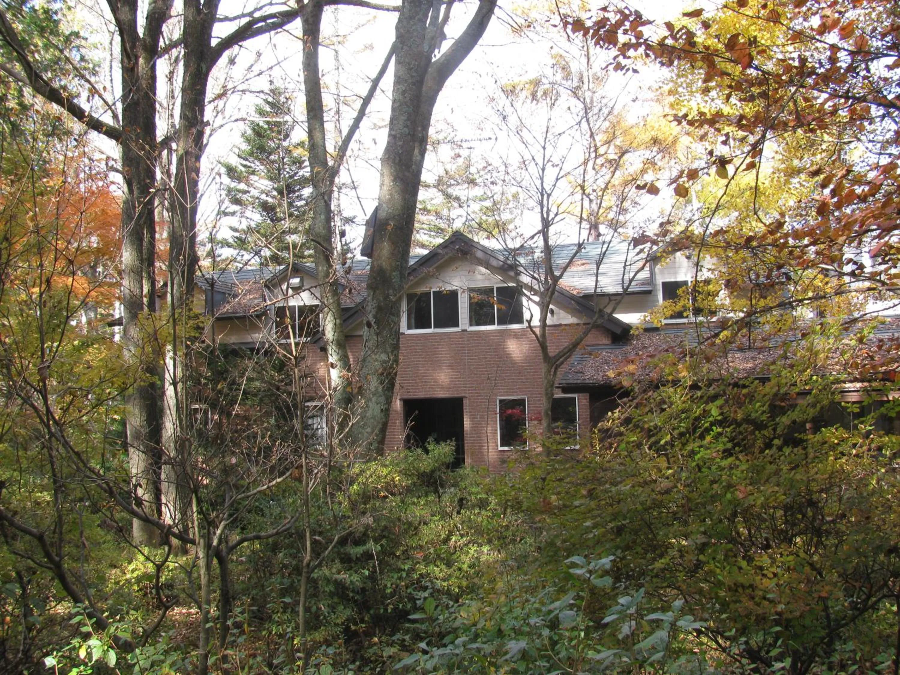 La Forest De Nome Karuizawa