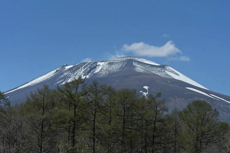 Spring in La Forest De Nome Karuizawa