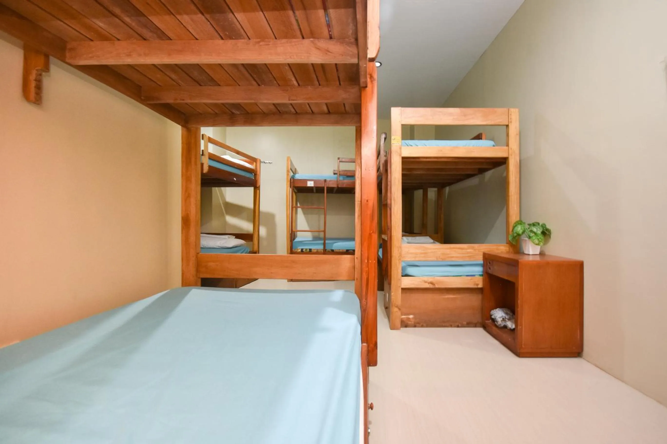 Bed in Boracay Backpackers