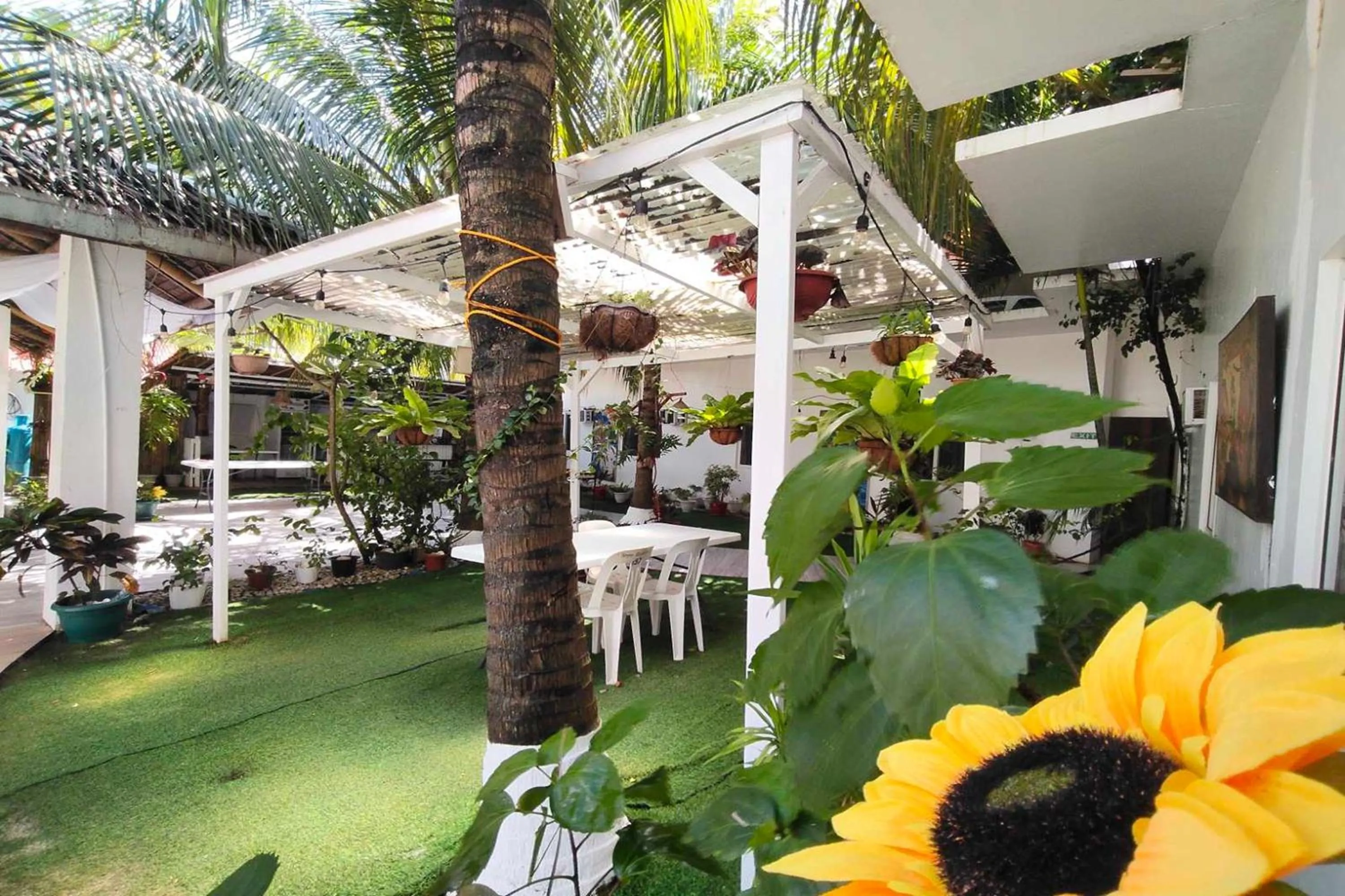 Patio in Boracay Backpackers