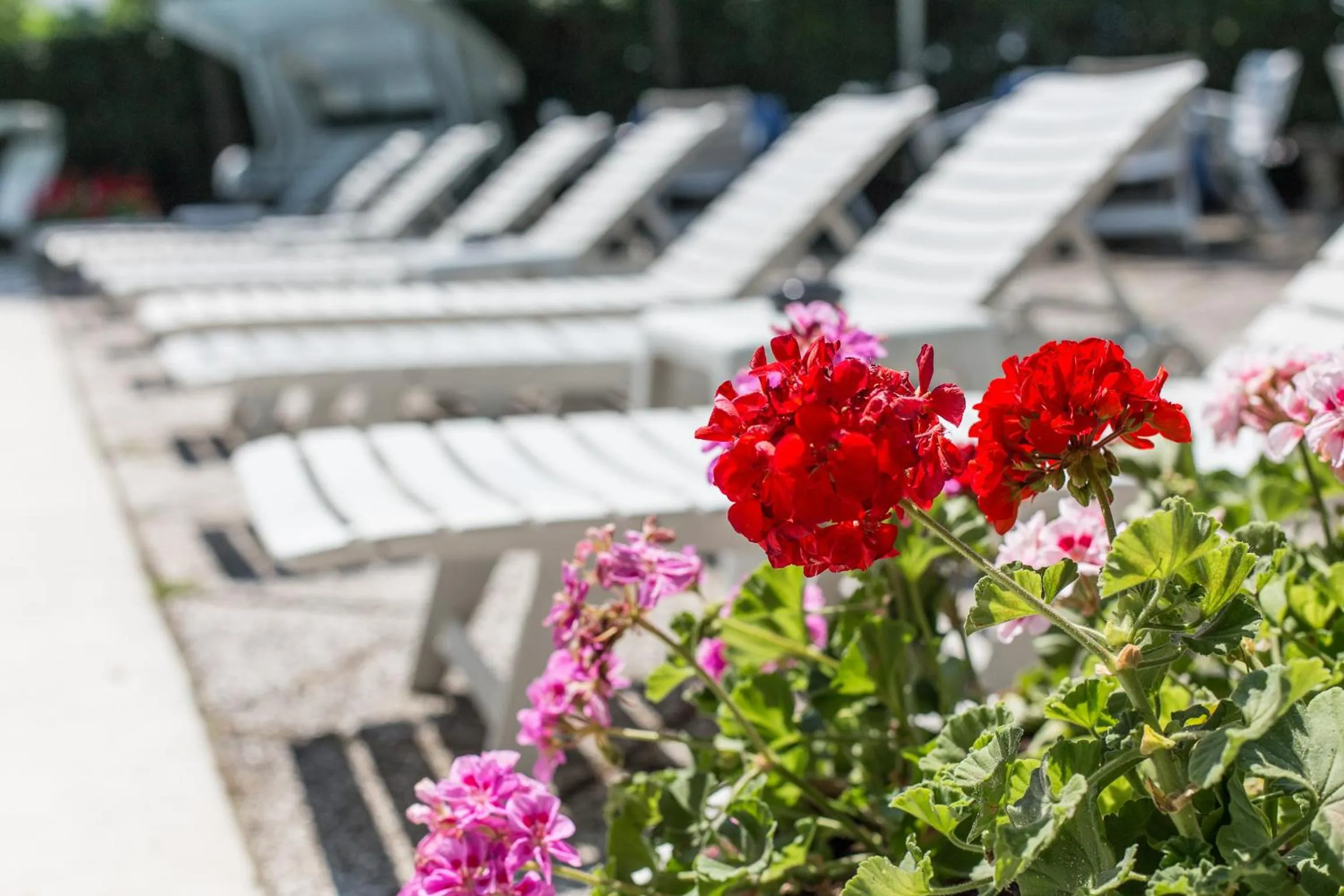 Swimming pool in Hotel Gioiello