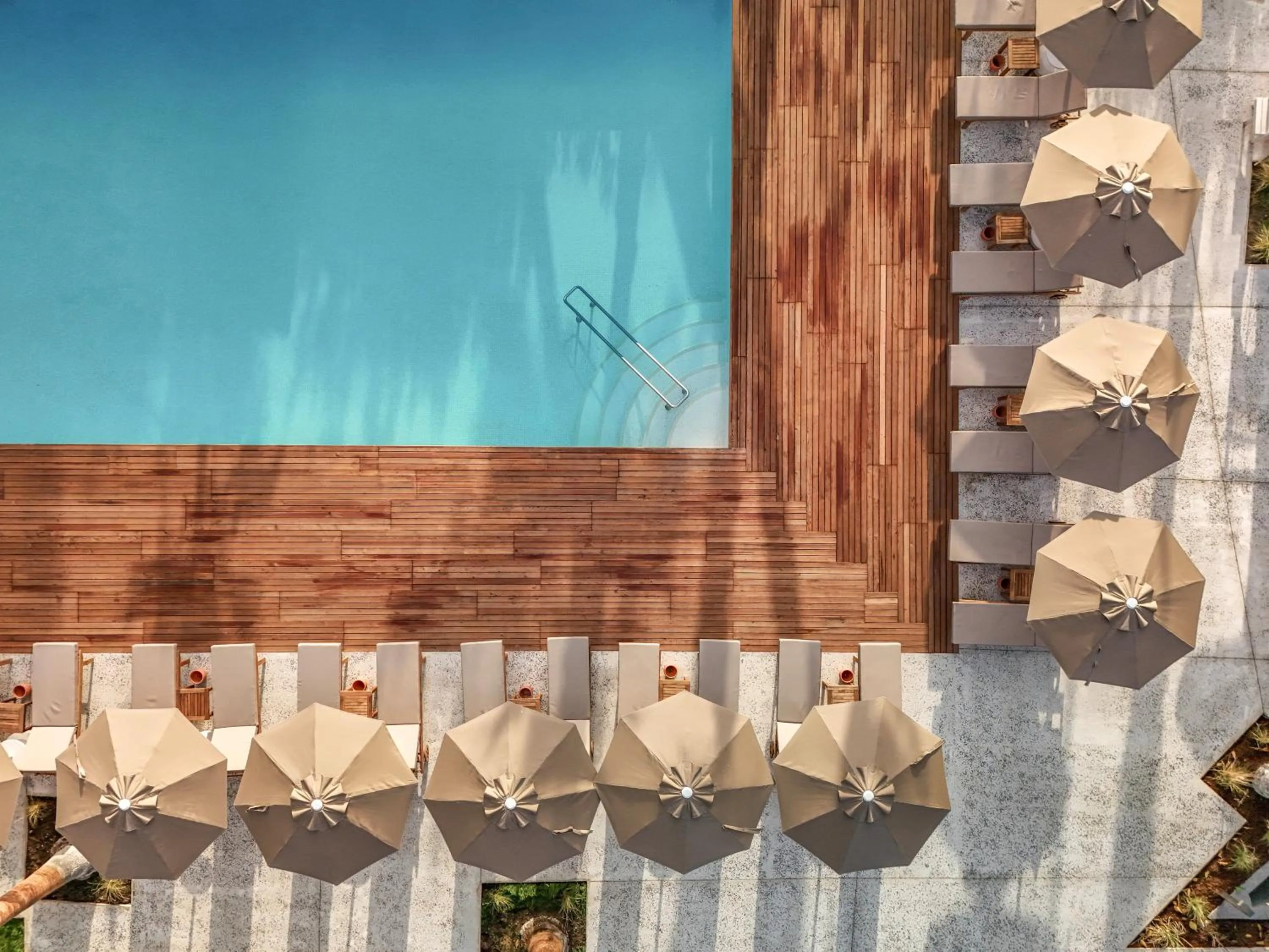 Pool view in Balmy Foresta