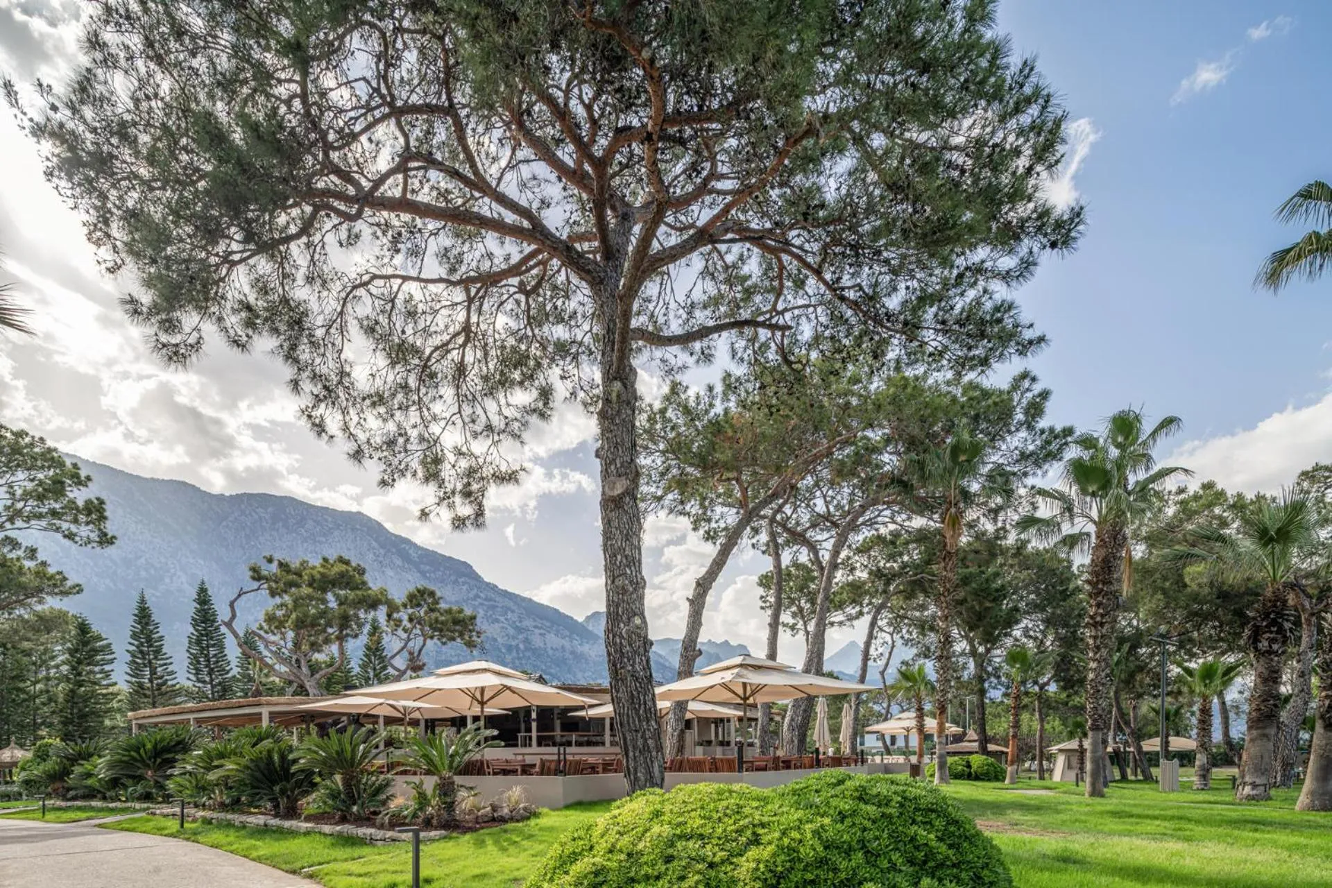 Restaurant/places to eat in Balmy Foresta