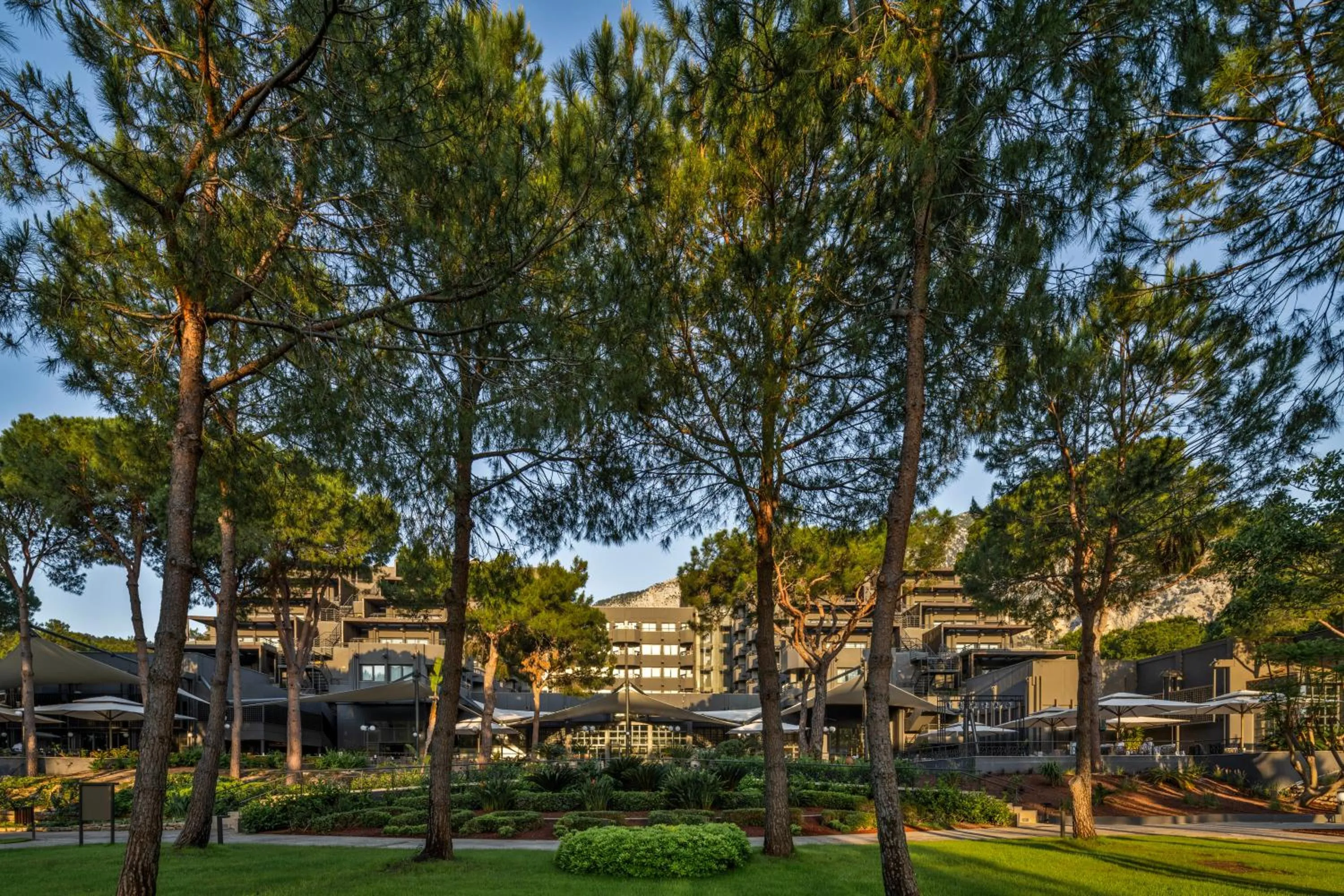 Property building in Balmy Foresta