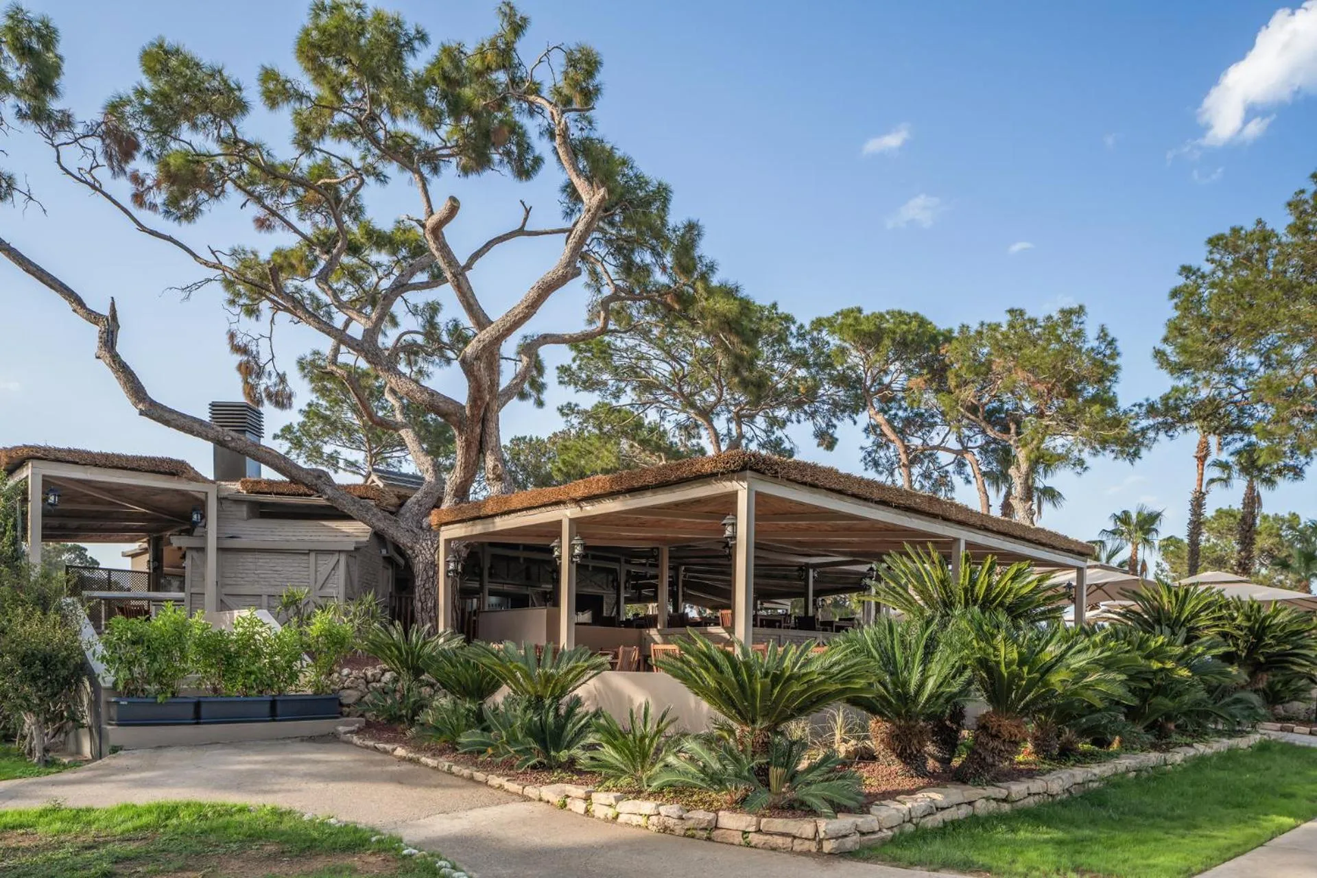 Restaurant/places to eat in Balmy Foresta