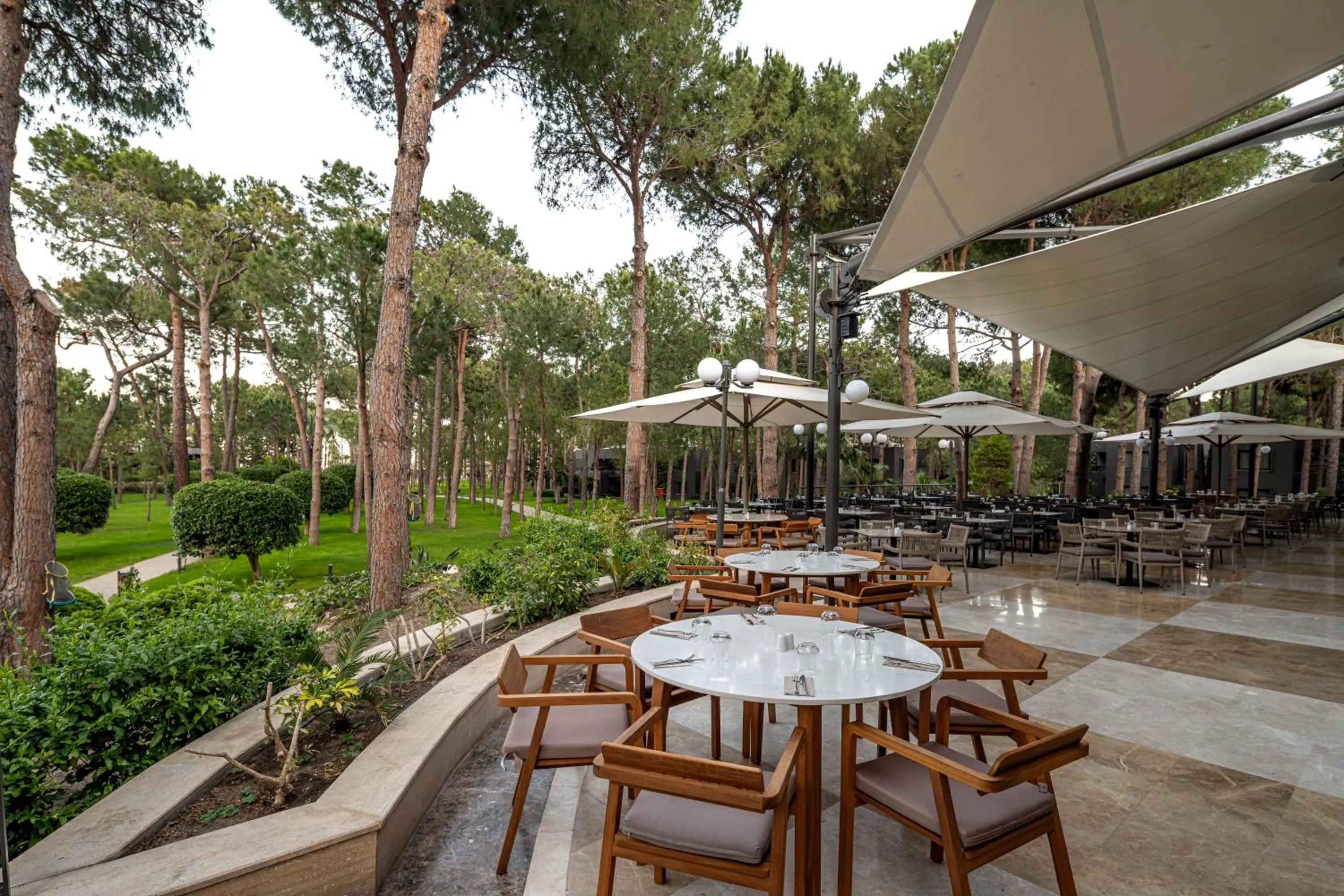 Restaurant/places to eat in Balmy Foresta