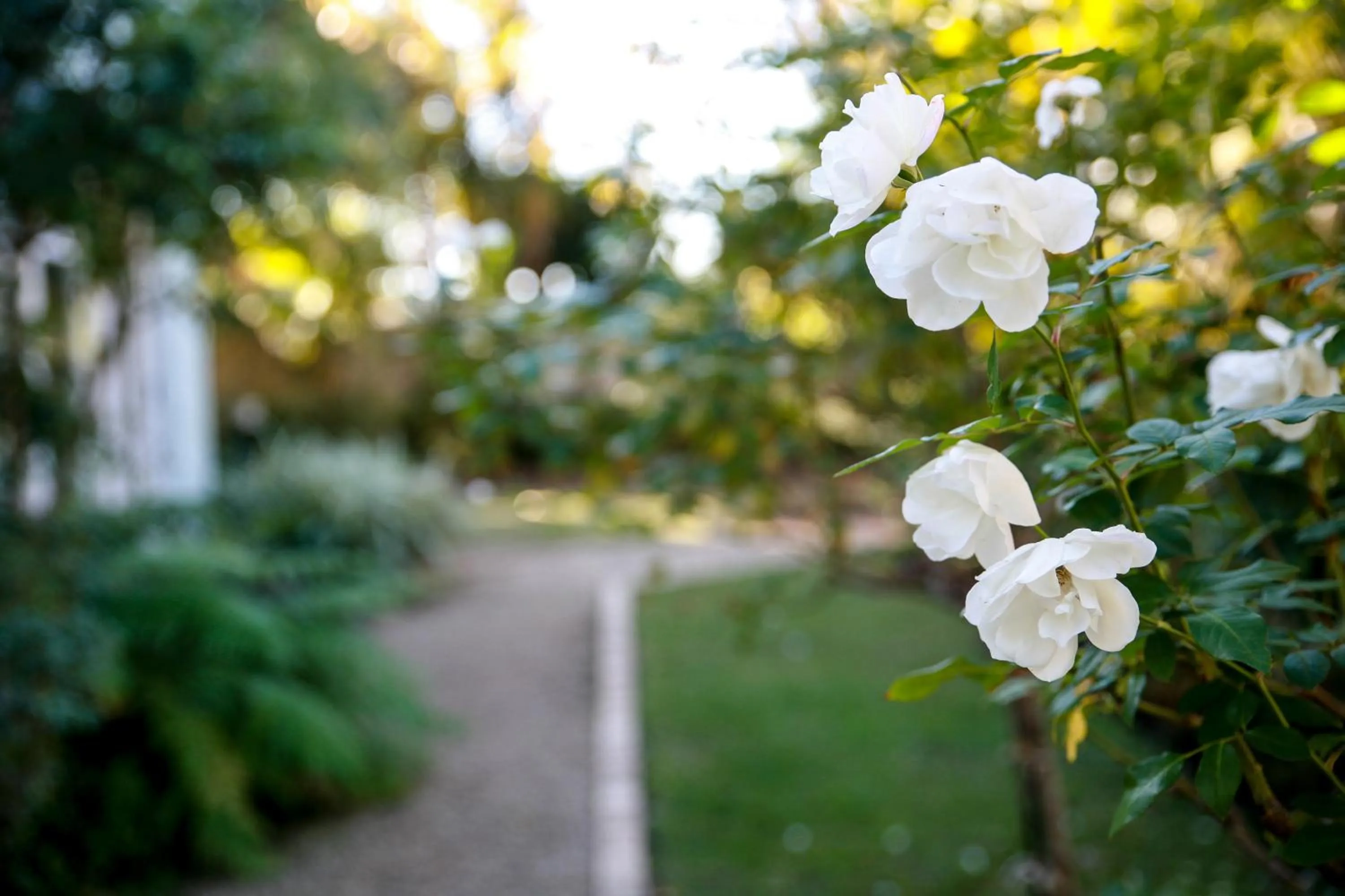 Princes Lodge Guesthouse