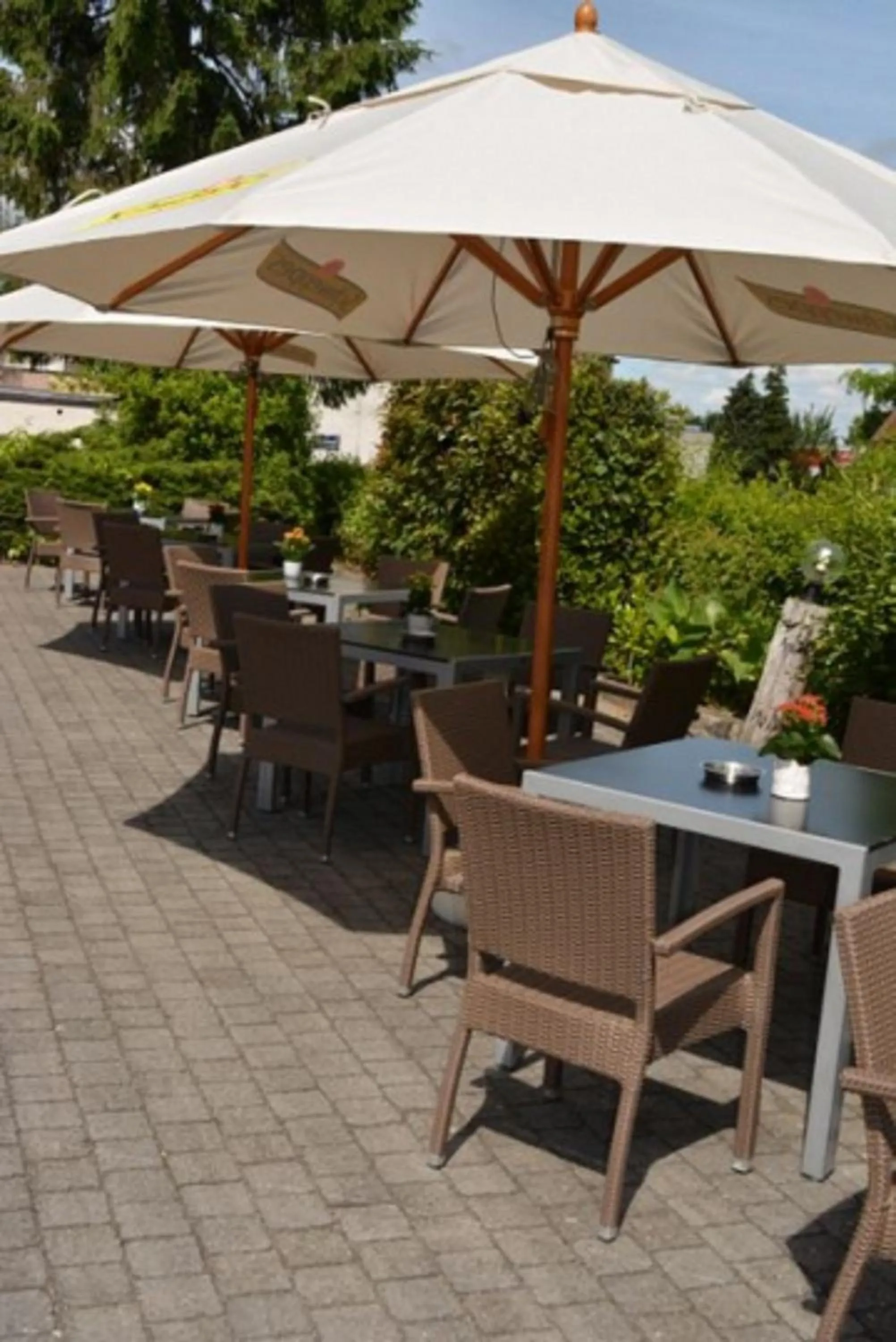 Balcony/Terrace in Hotel The New Fox