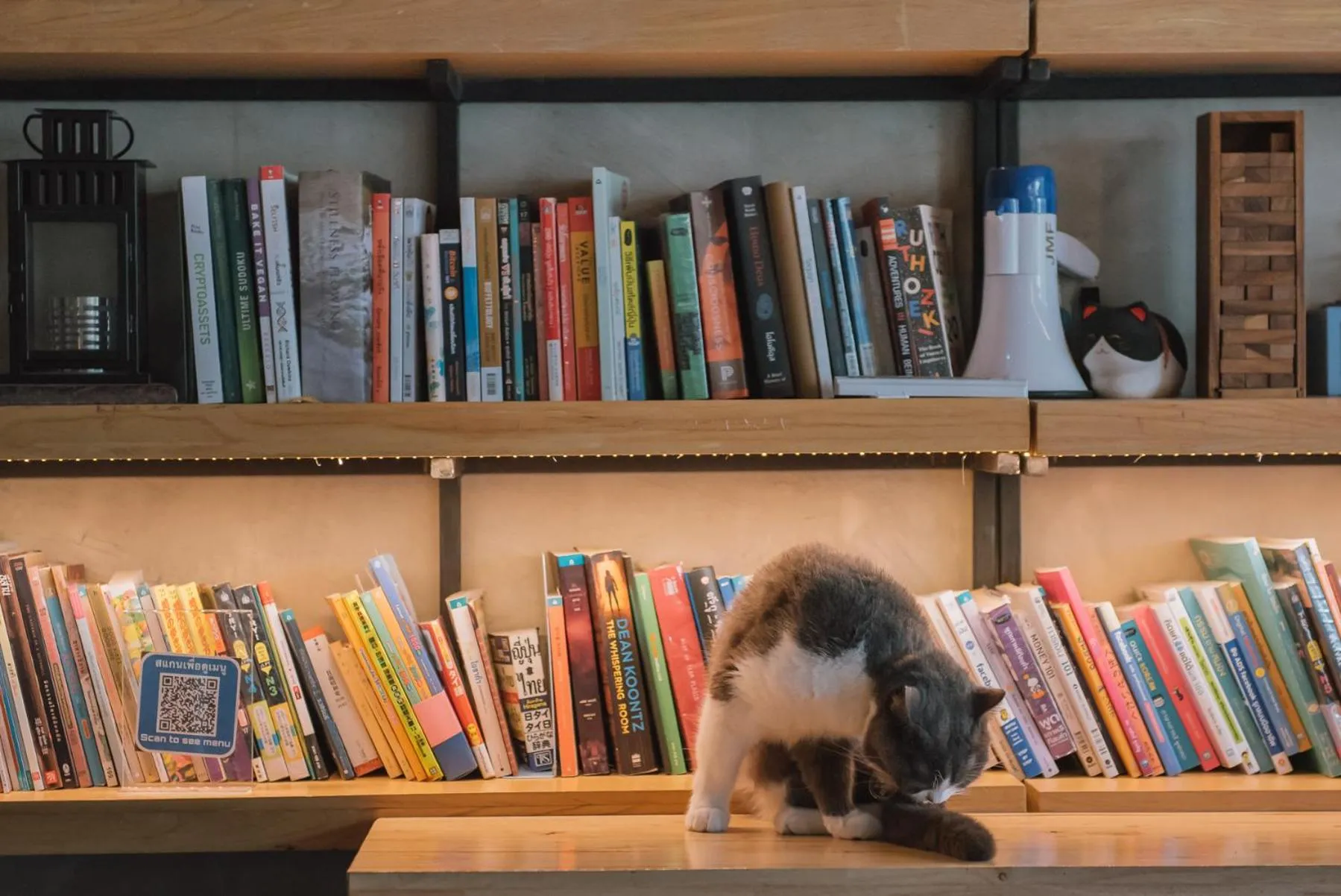 Restaurant/places to eat in Cazz Hostel