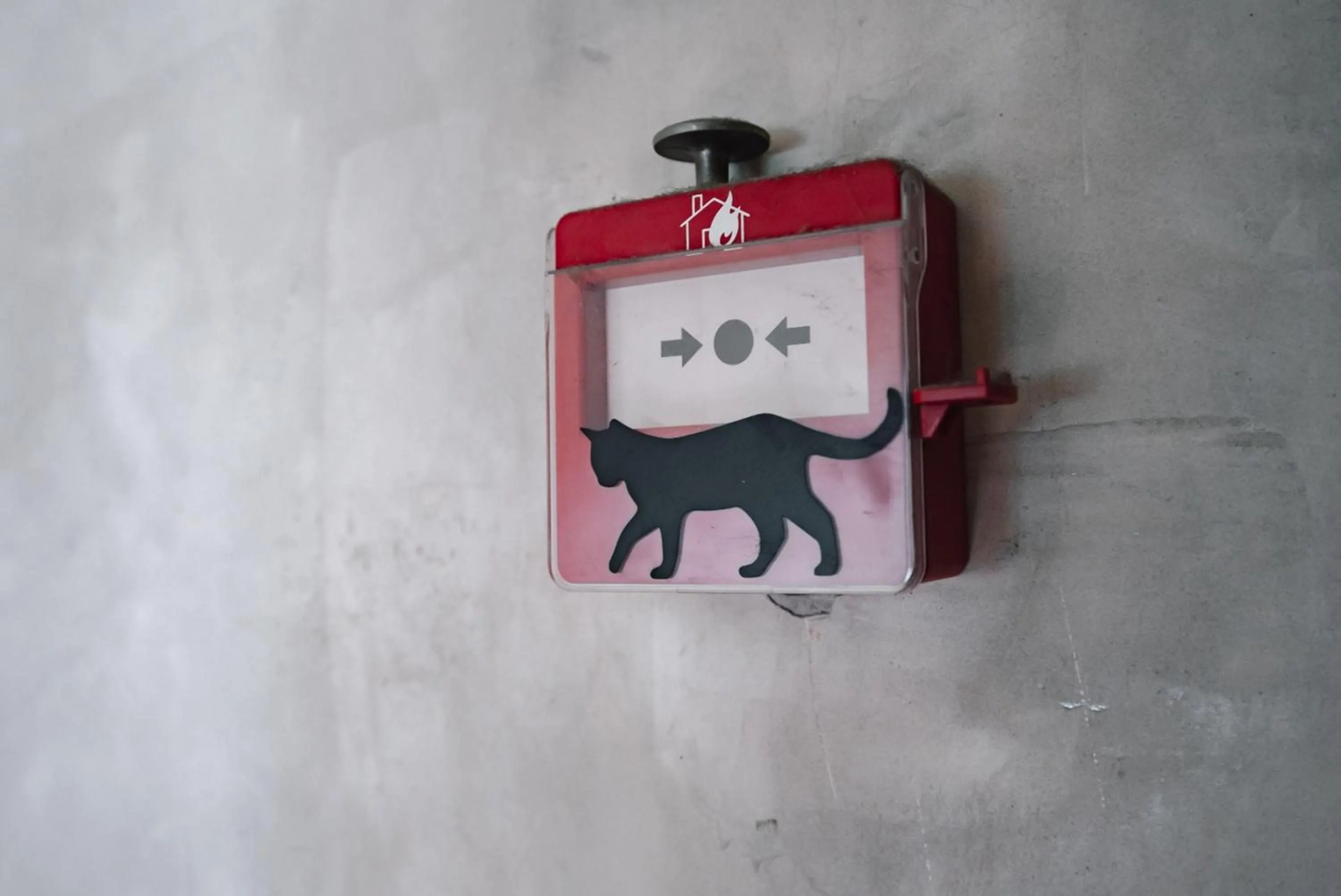 Property logo or sign in Cazz Hostel