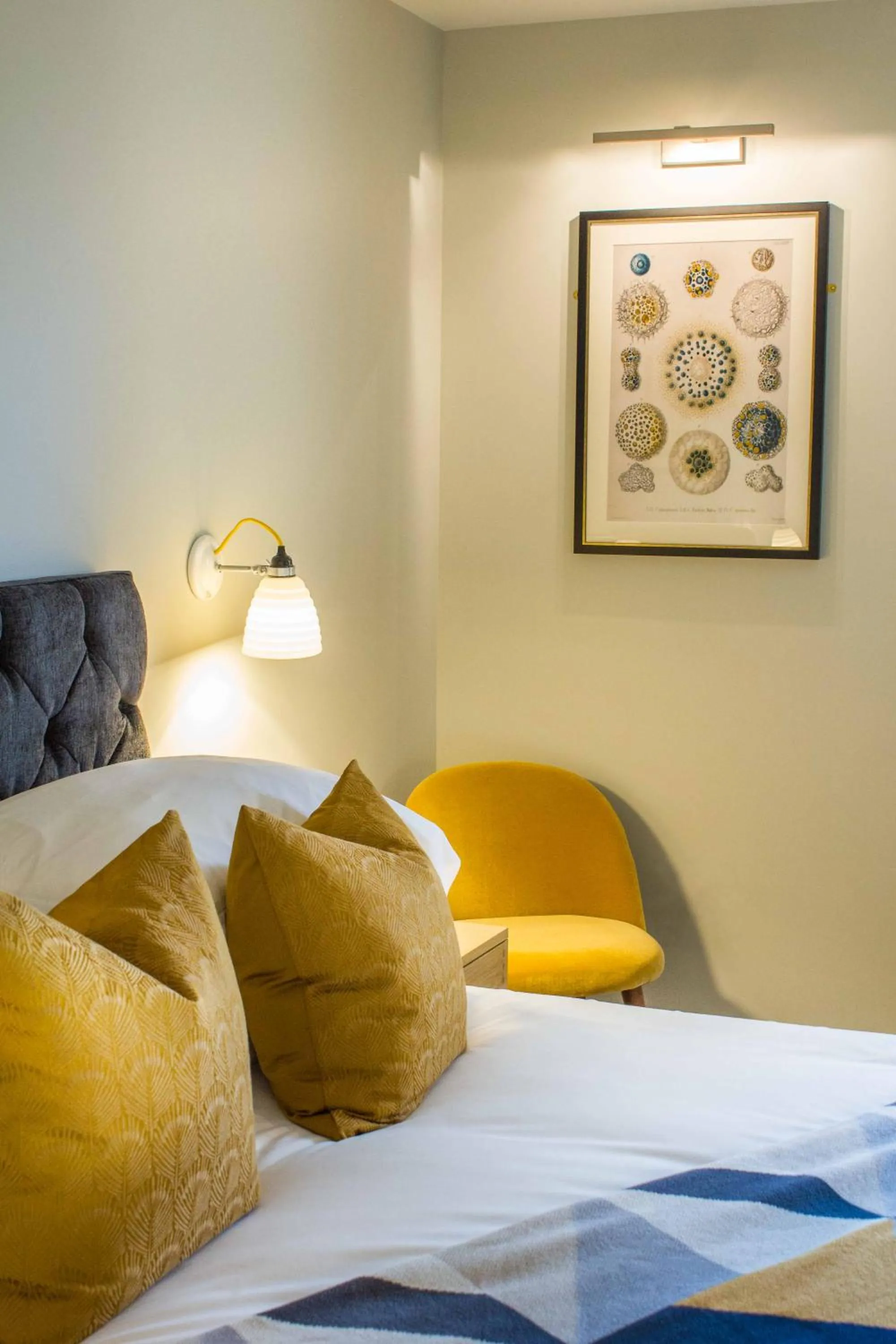 Bed in Crown & Punchbowl