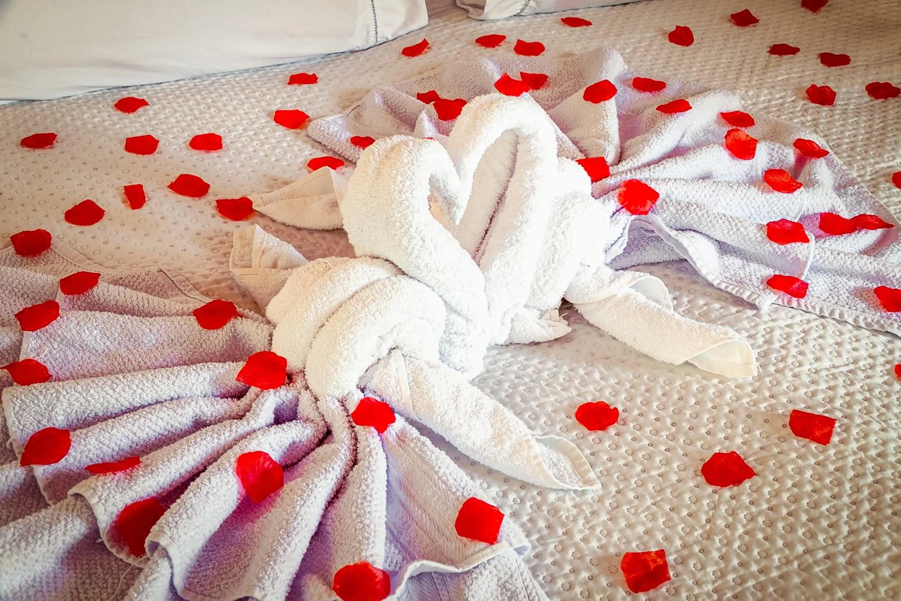 Decorative detail in VELINN Pousada Vila Floratta