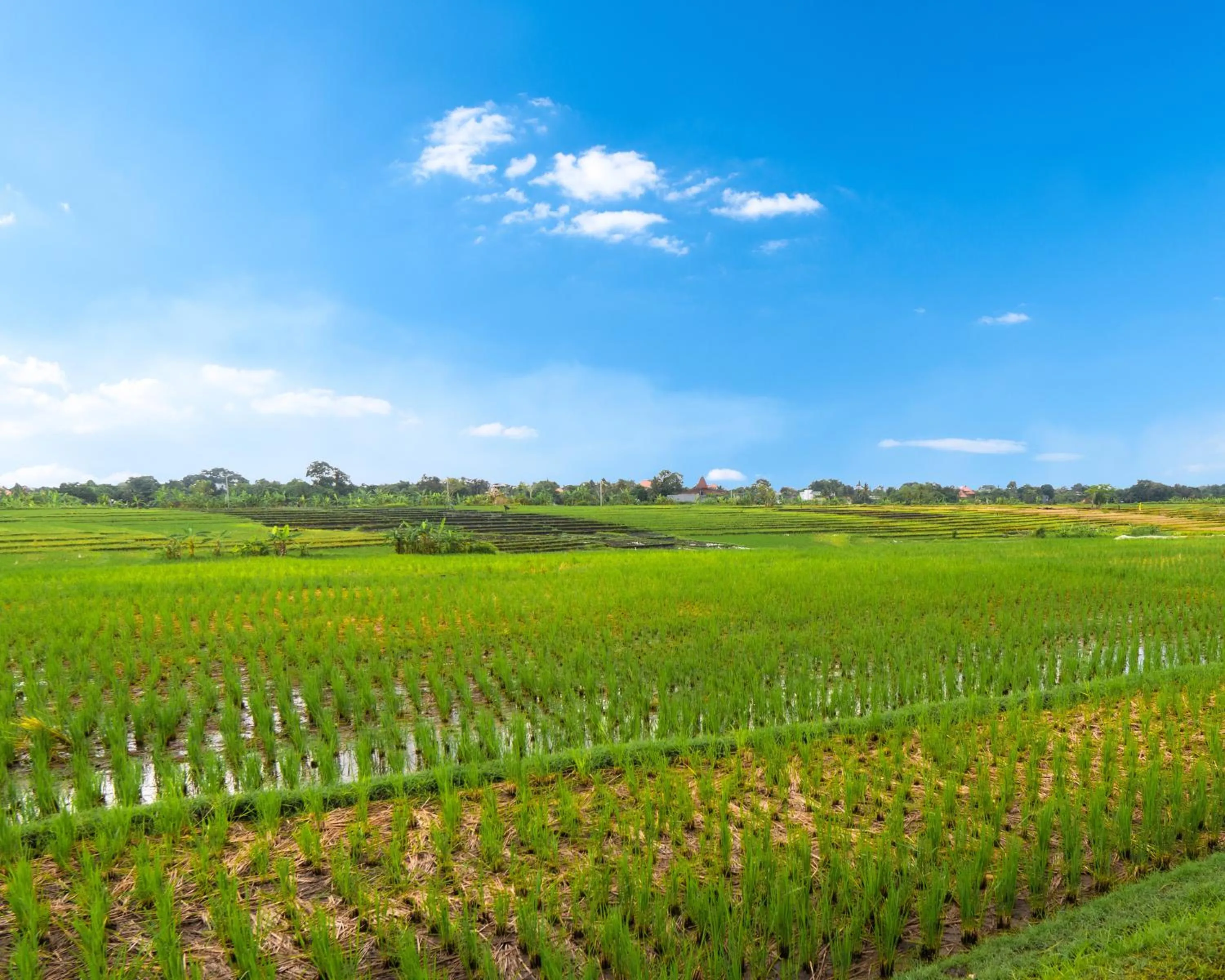 View (from property/room) in Sound of The Sea Villa