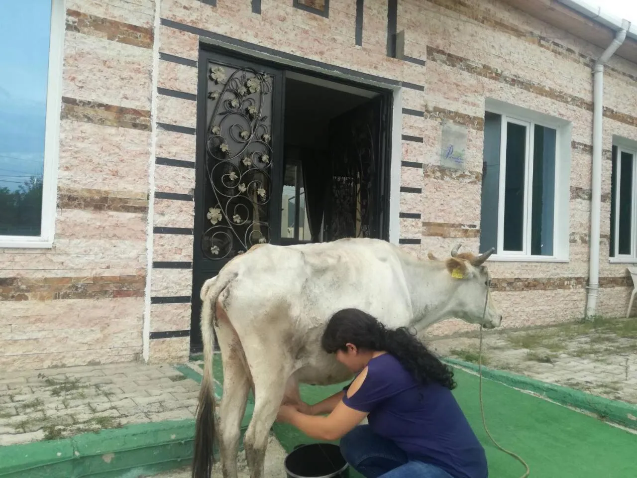 Paradise Investment Resort