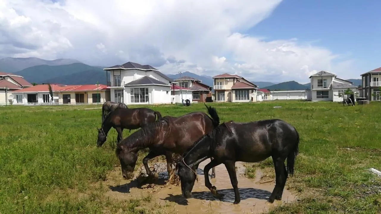 Paradise Investment Resort