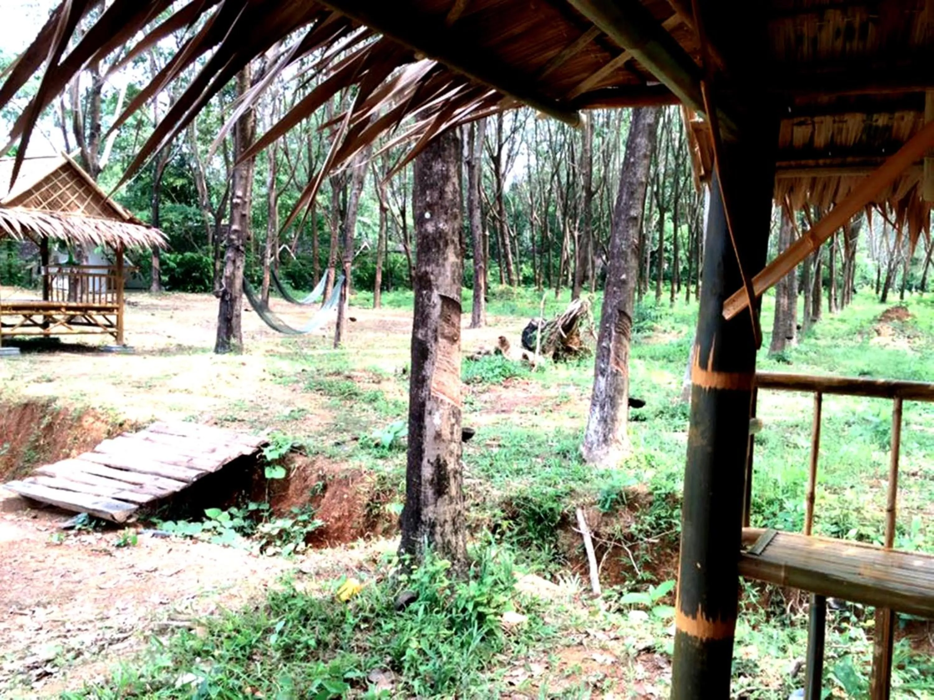 Garden in Rimsuan House
