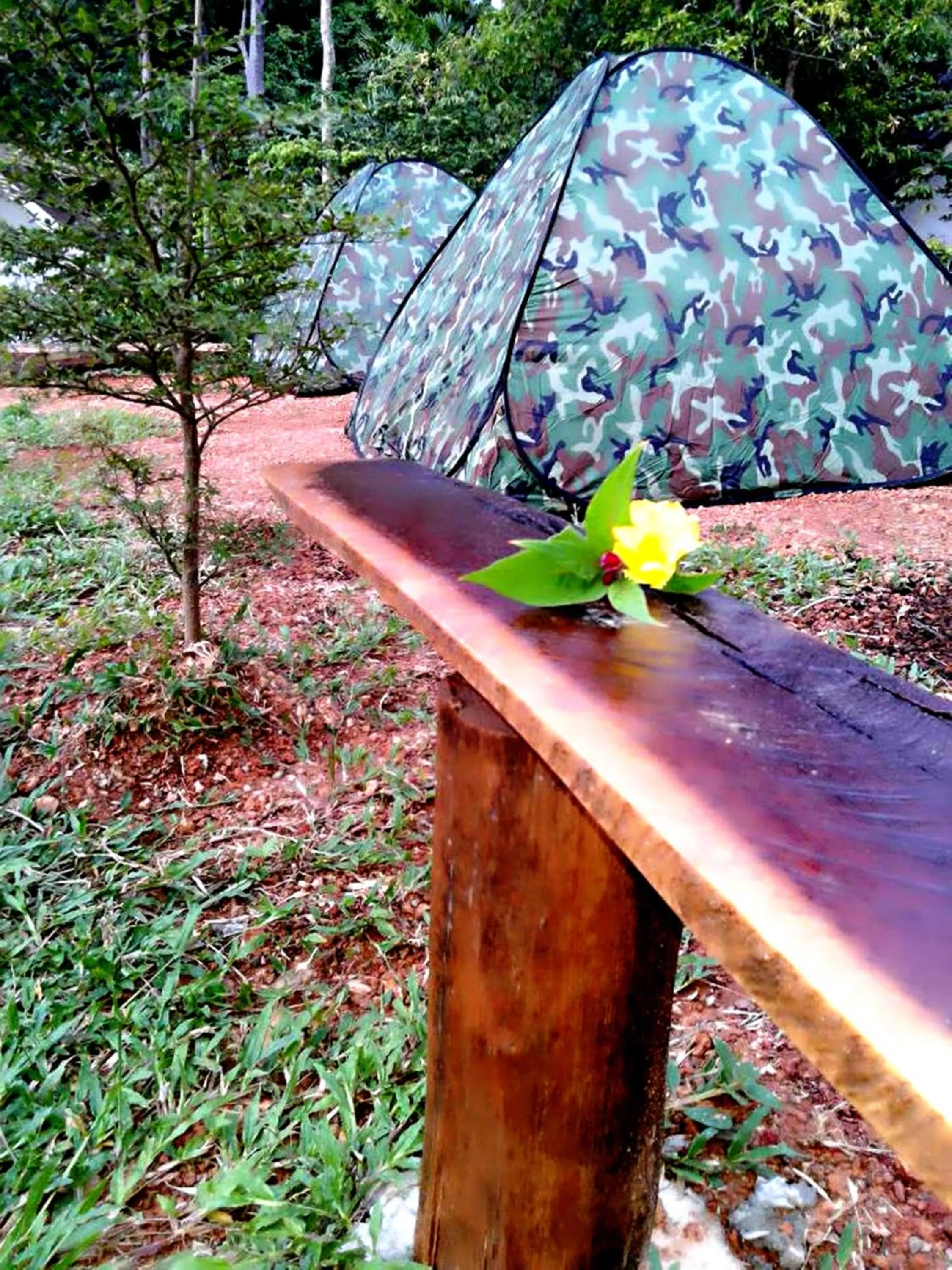 Natural landscape in Rimsuan House