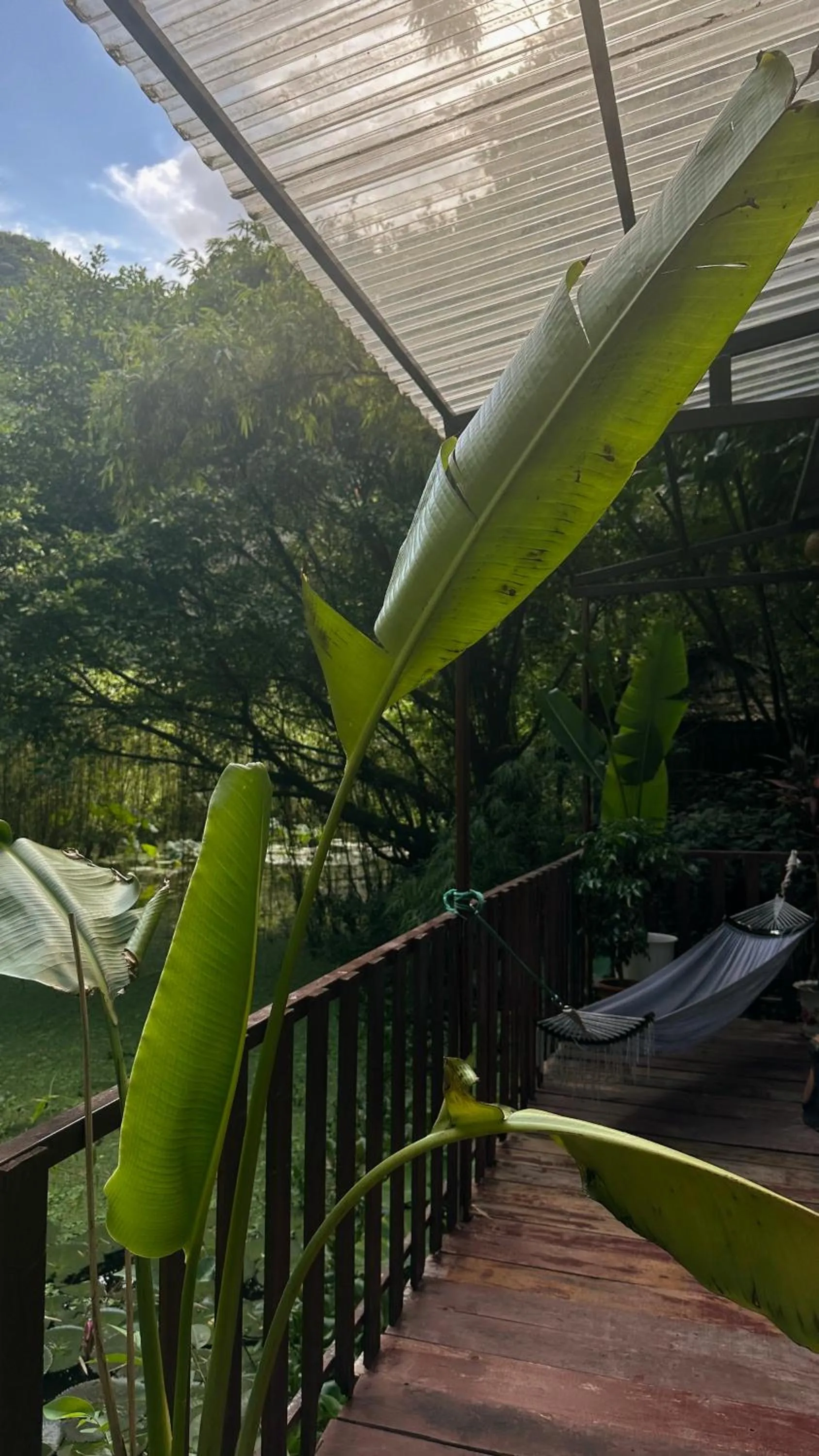 Natural landscape in Chez Beo Homestay