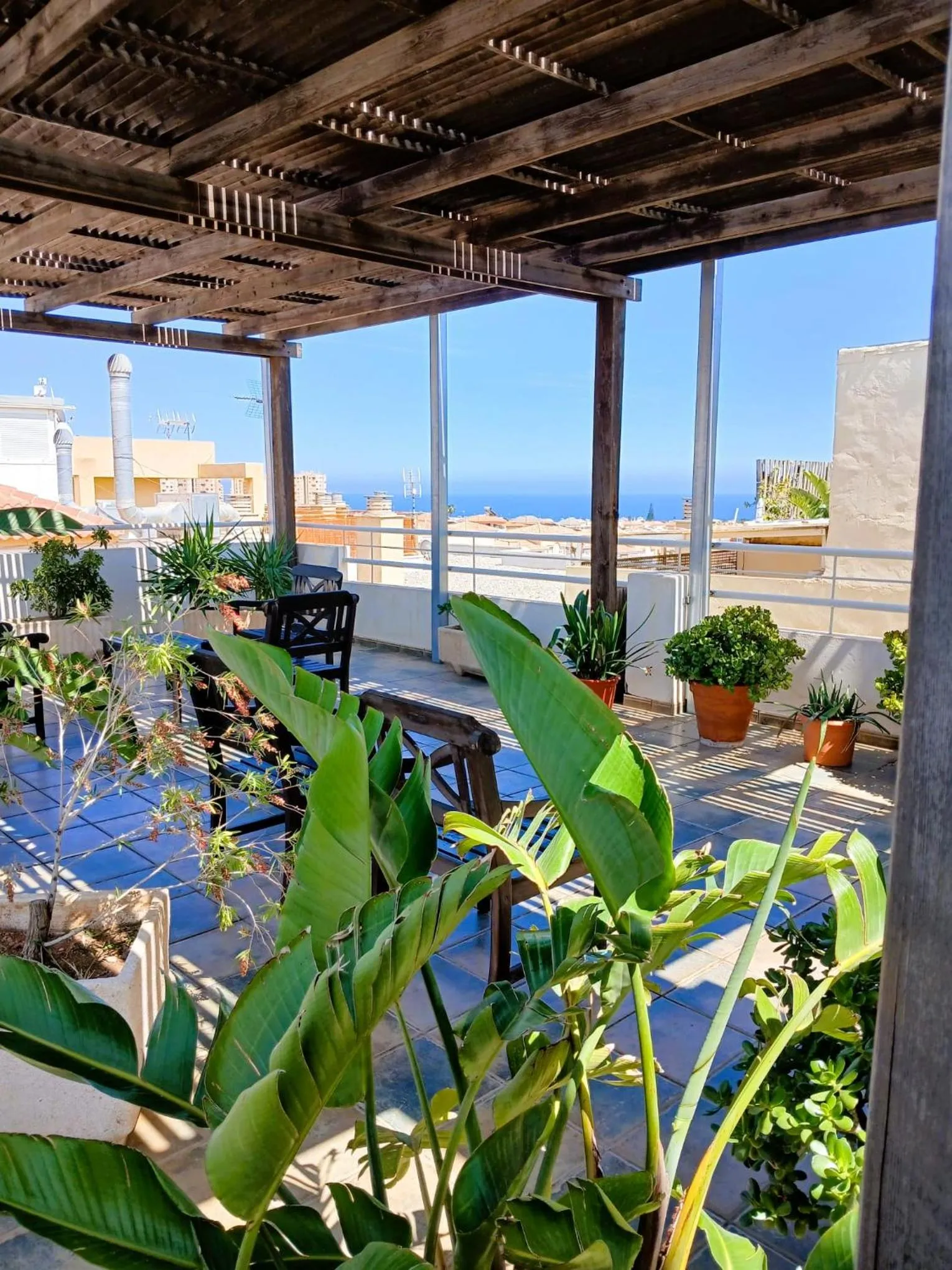 Balcony/Terrace in Hotel Mirablau