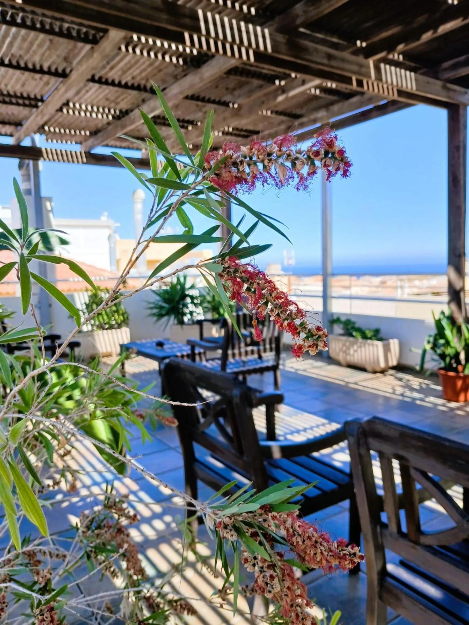 Balcony/Terrace in Hotel Mirablau