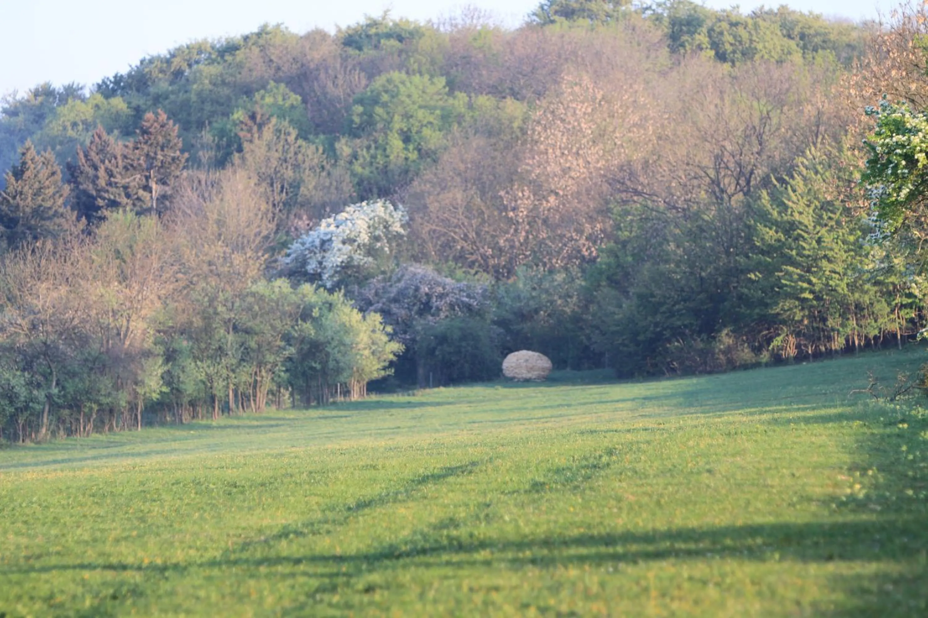 Natural landscape in Hotel Zum Herrenhaus