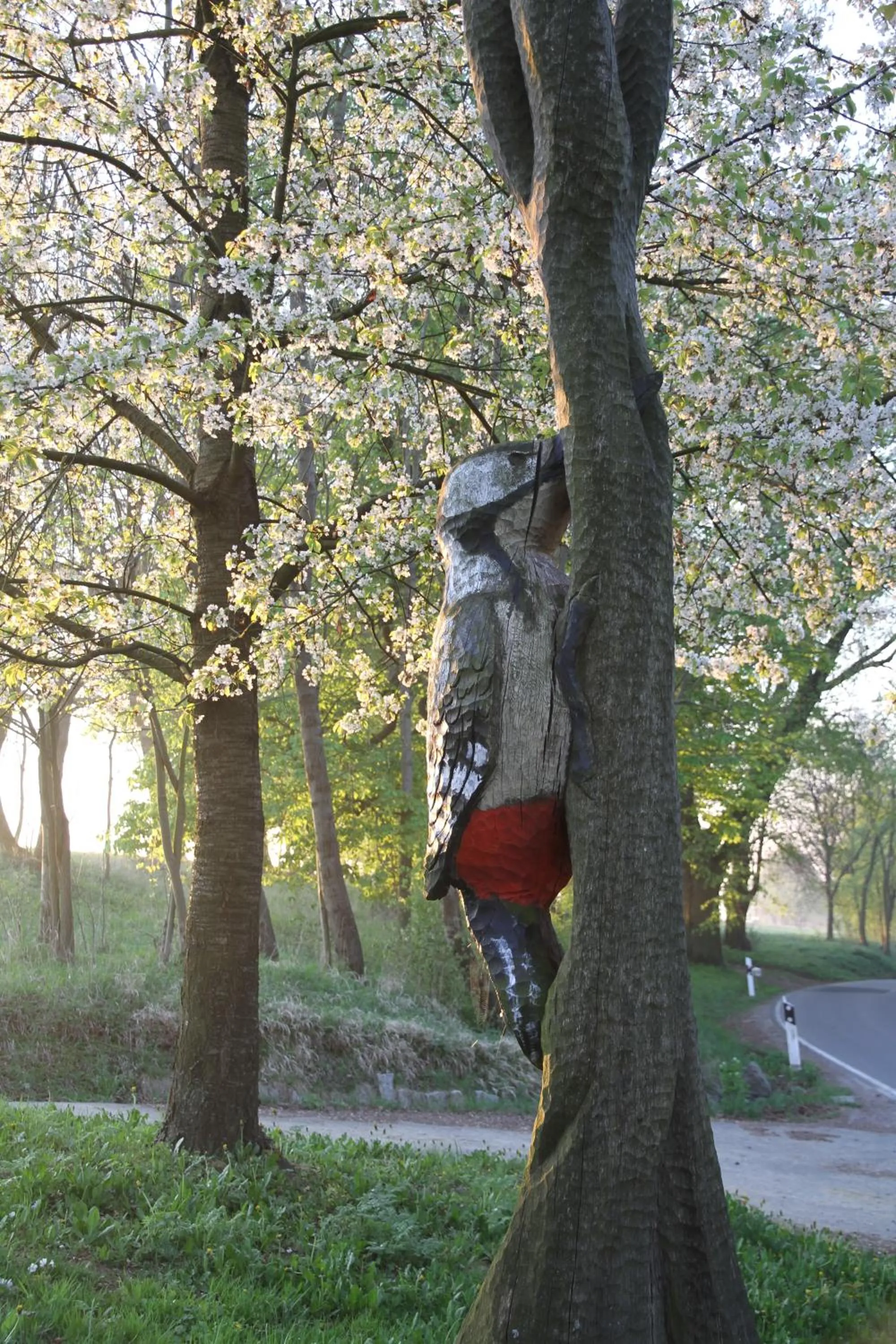 Spring in Hotel Zum Herrenhaus