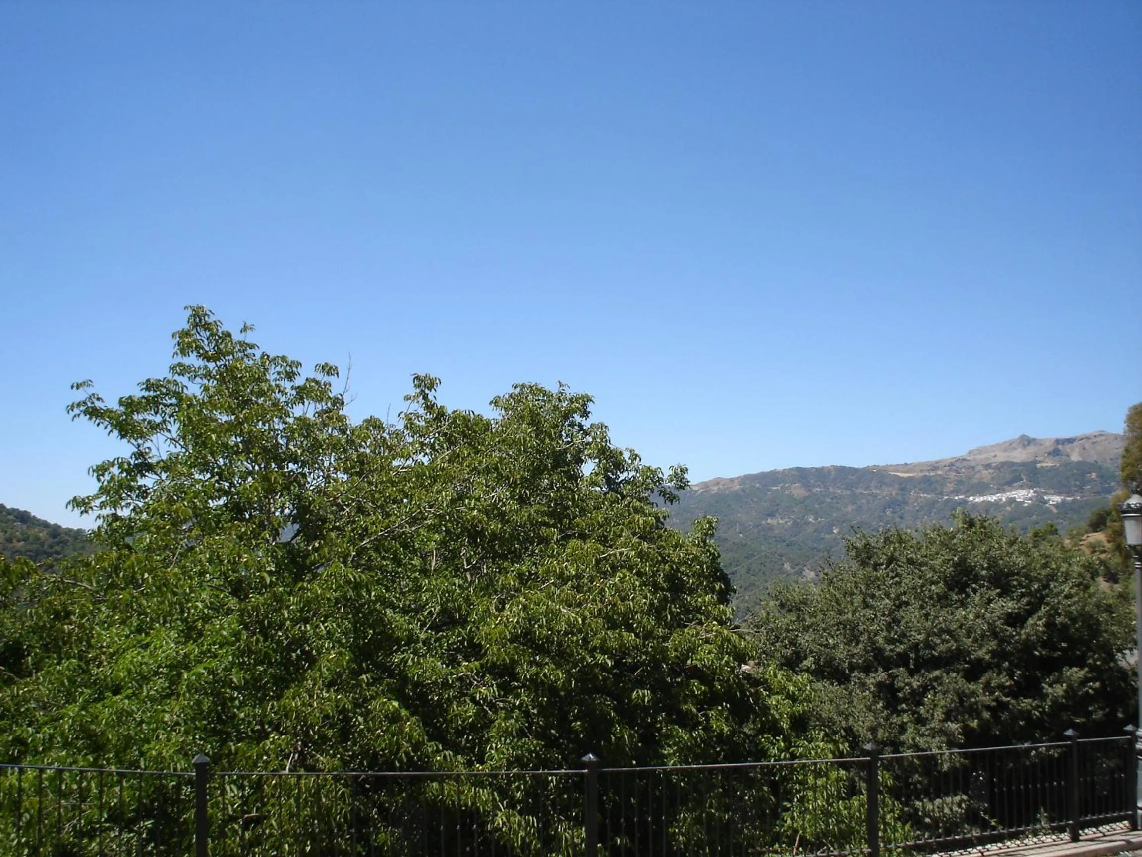 Natural landscape in Hotel Restaurante Las Buitreras