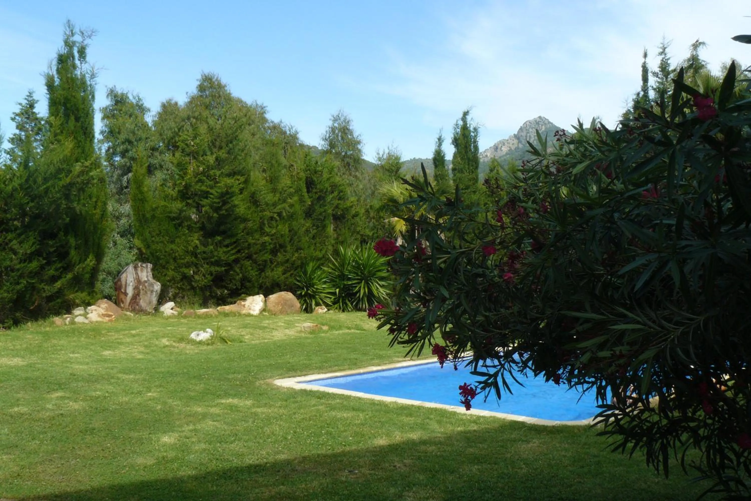 Garden in Hotel Restaurante Las Buitreras