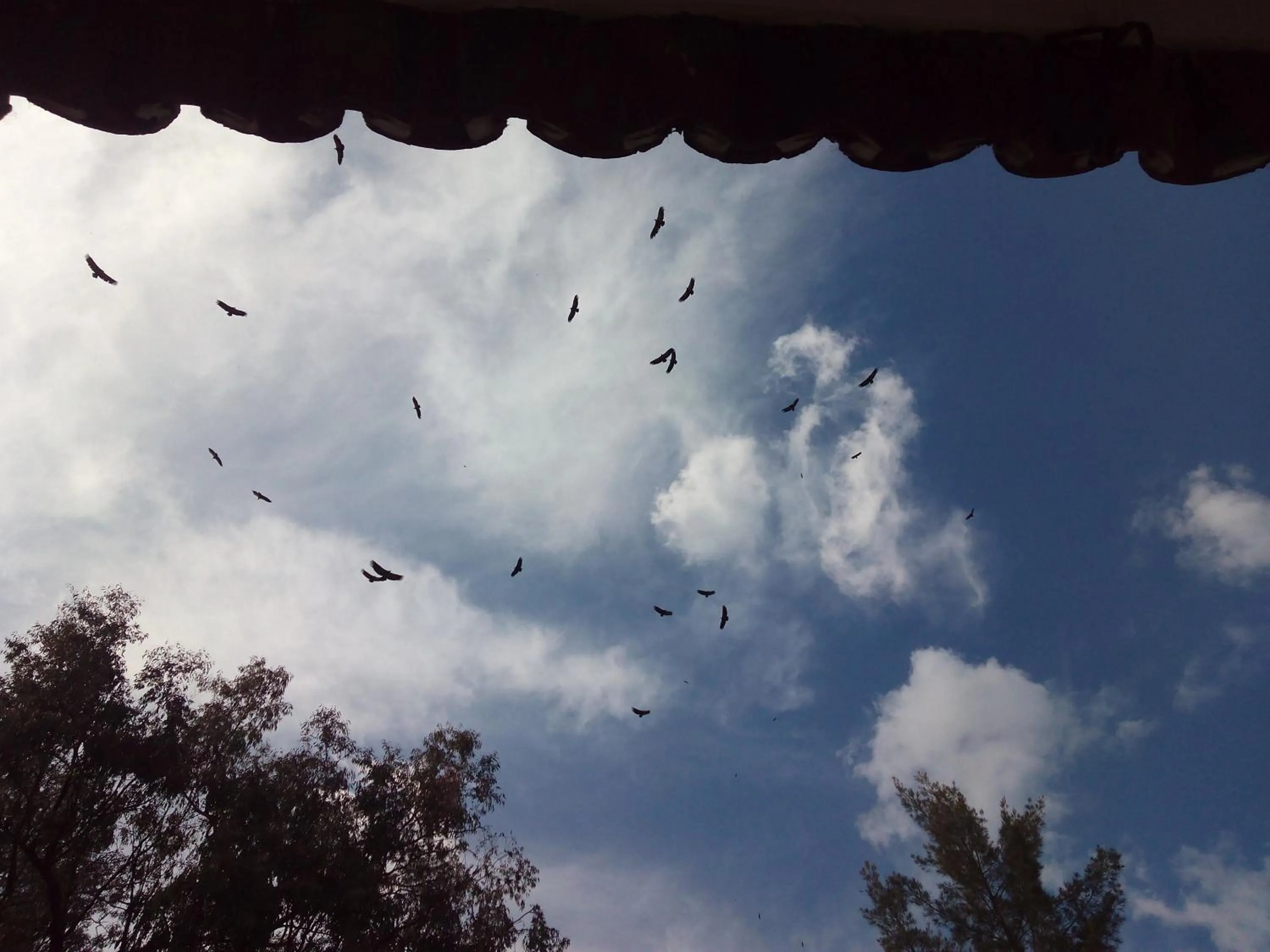 Day in Hotel Restaurante Las Buitreras