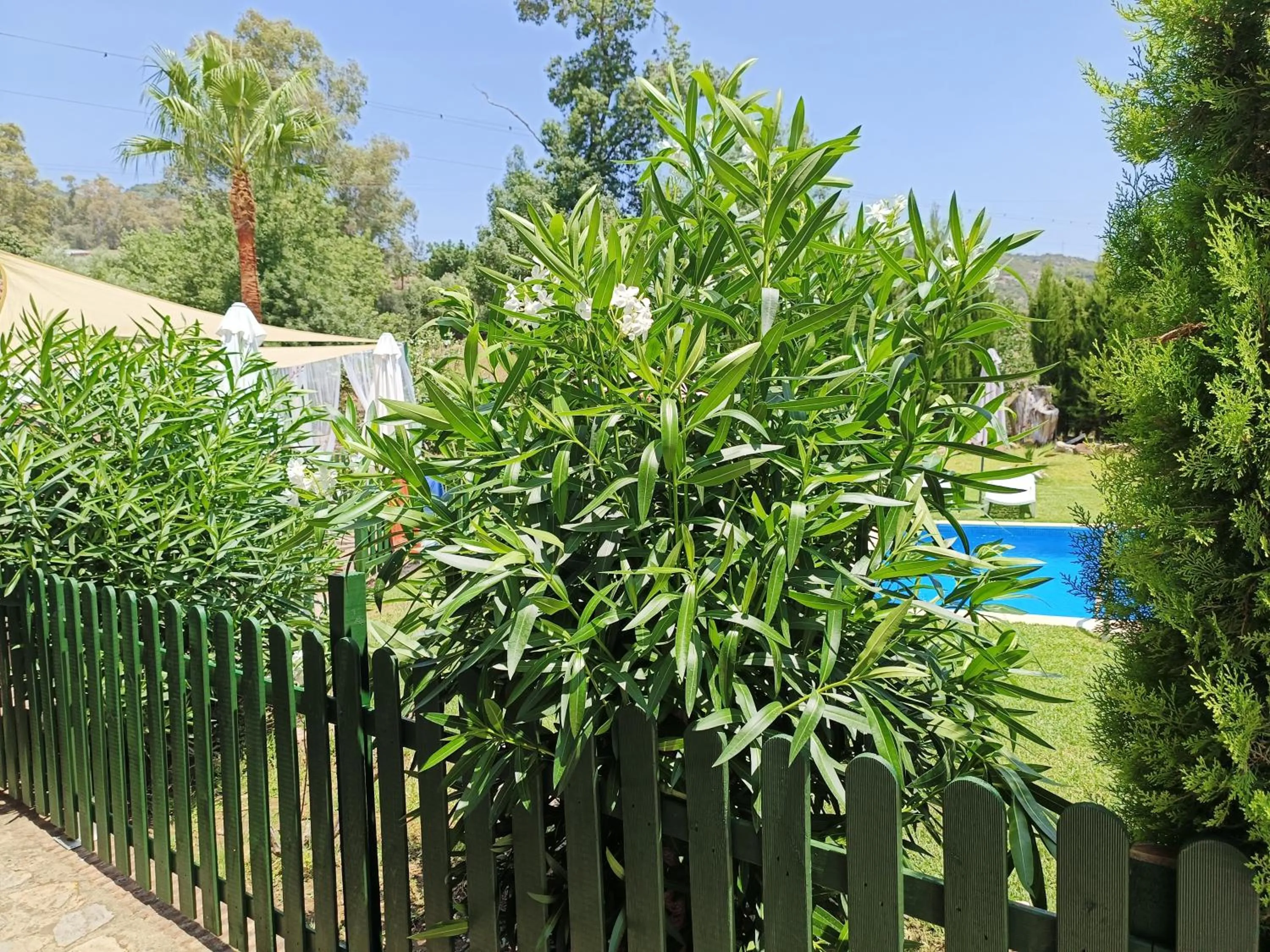 Property building in Hotel Restaurante Las Buitreras