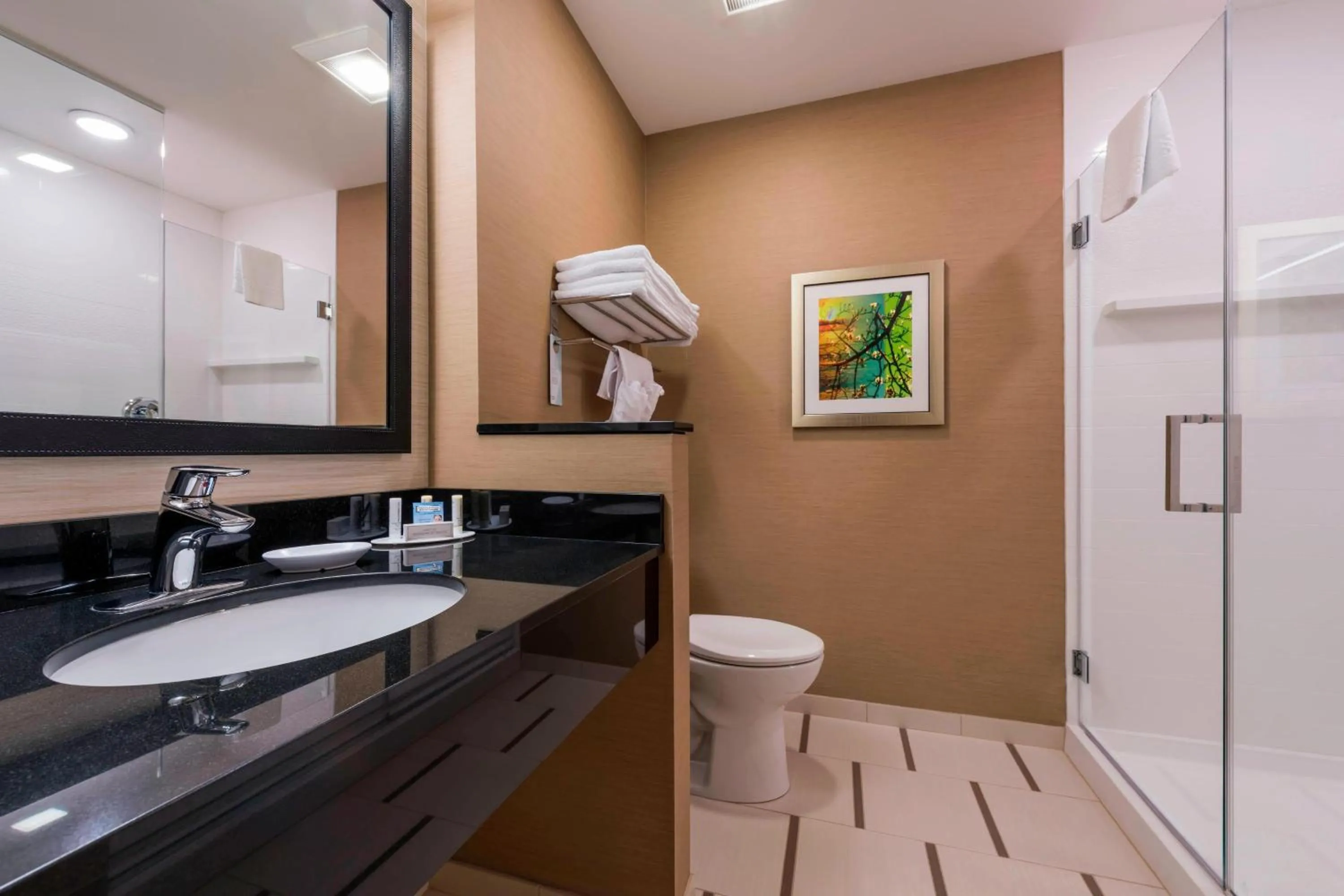Bathroom in Fairfield Inn by Marriott Afton Star Valley