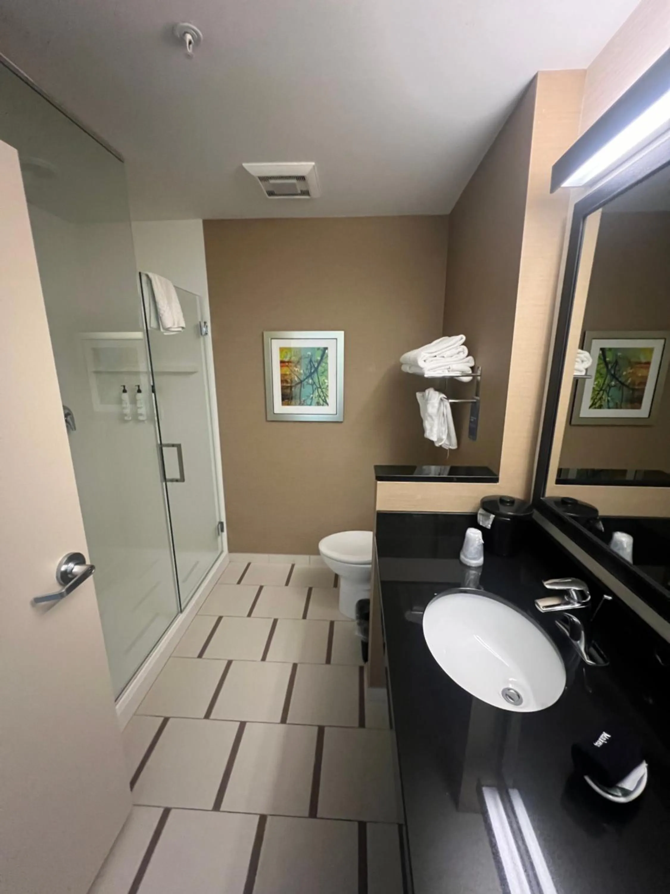 Bathroom in Fairfield Inn by Marriott Afton Star Valley