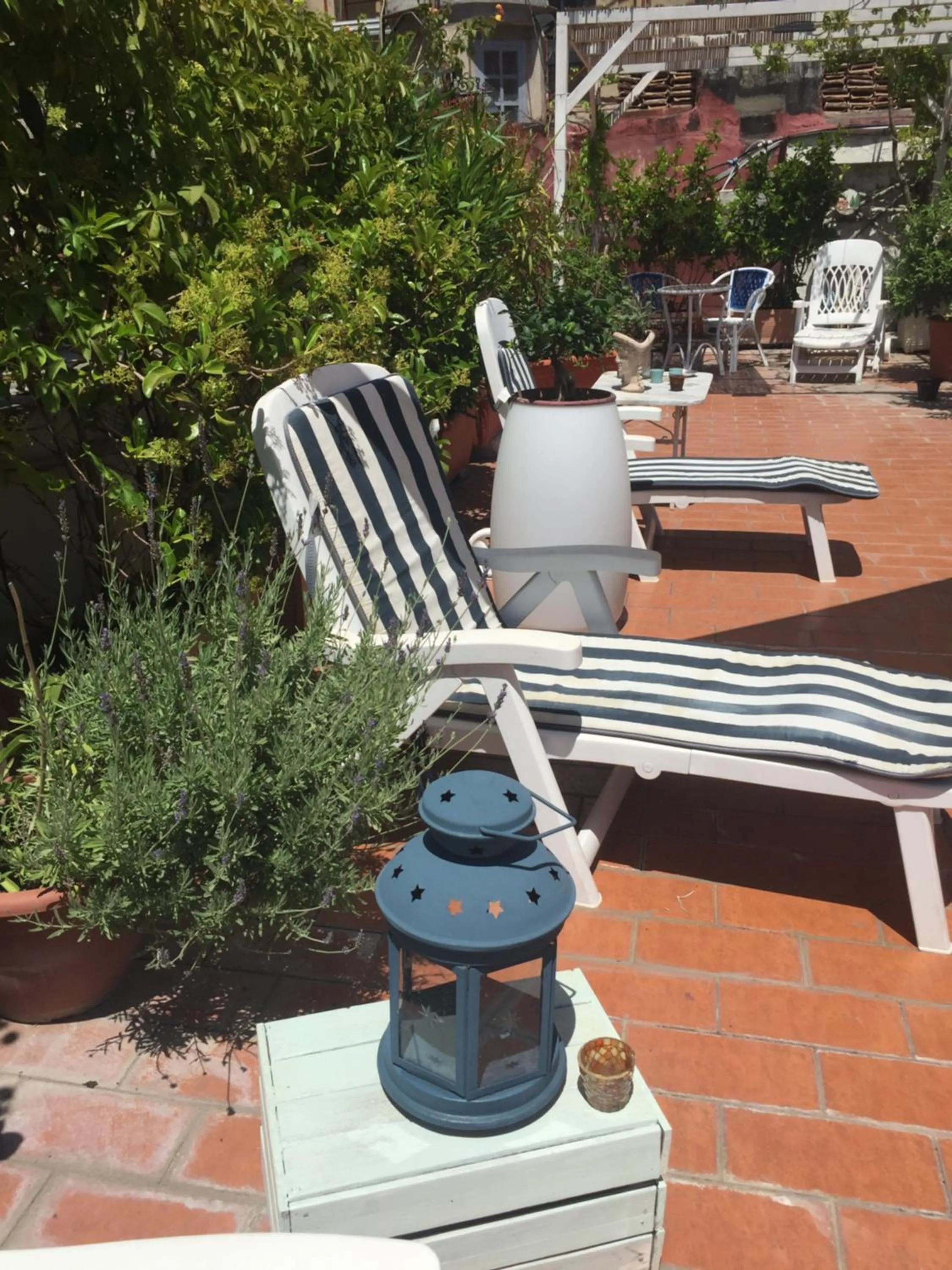 B&B La Terrazza Napoli